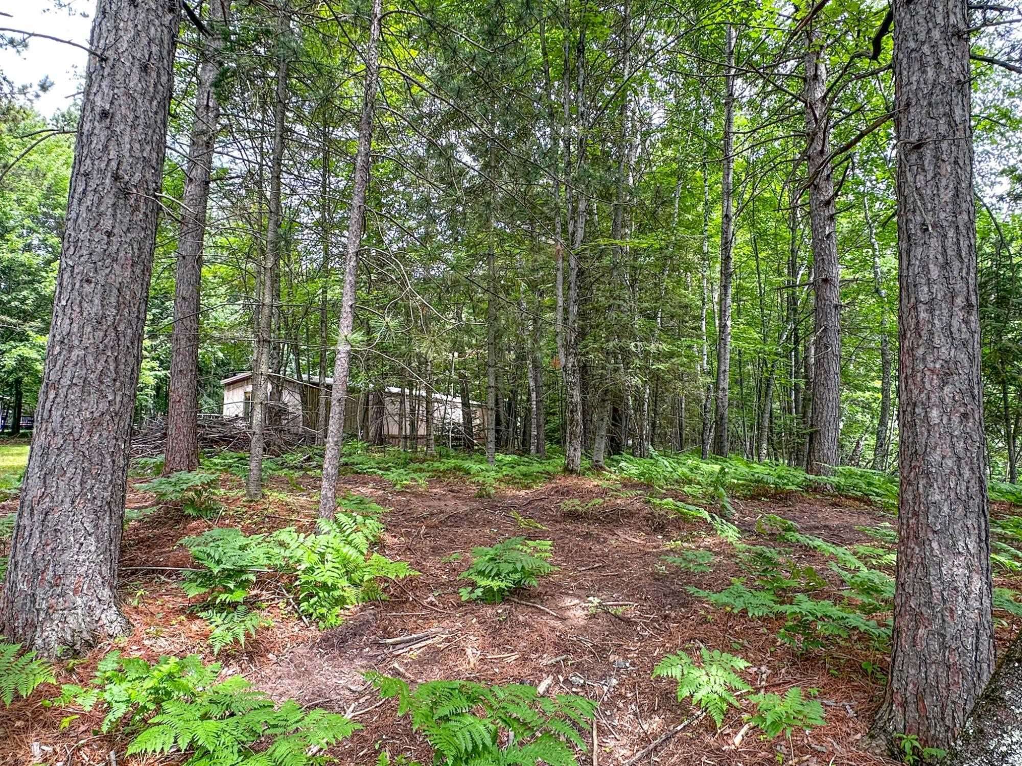 N8919 ISLAND ROAD, Phillips, Wisconsin 54555, 3 Bedrooms Bedrooms, ,1 BathroomBathrooms,Residential,For Sale,N8919 ISLAND ROAD,22502808