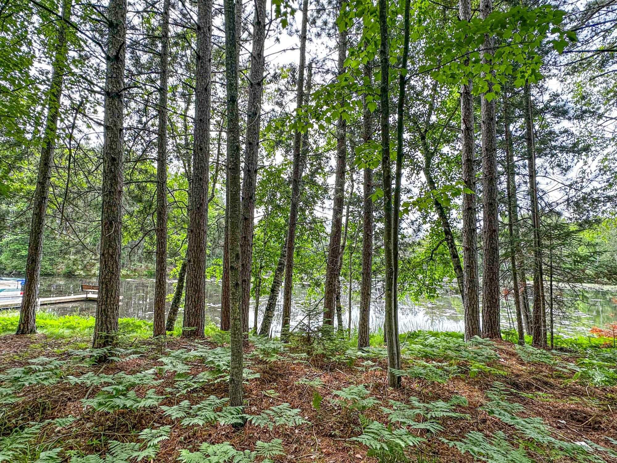 N8919 ISLAND ROAD, Phillips, Wisconsin 54555, 3 Bedrooms Bedrooms, ,1 BathroomBathrooms,Residential,For Sale,N8919 ISLAND ROAD,22502808