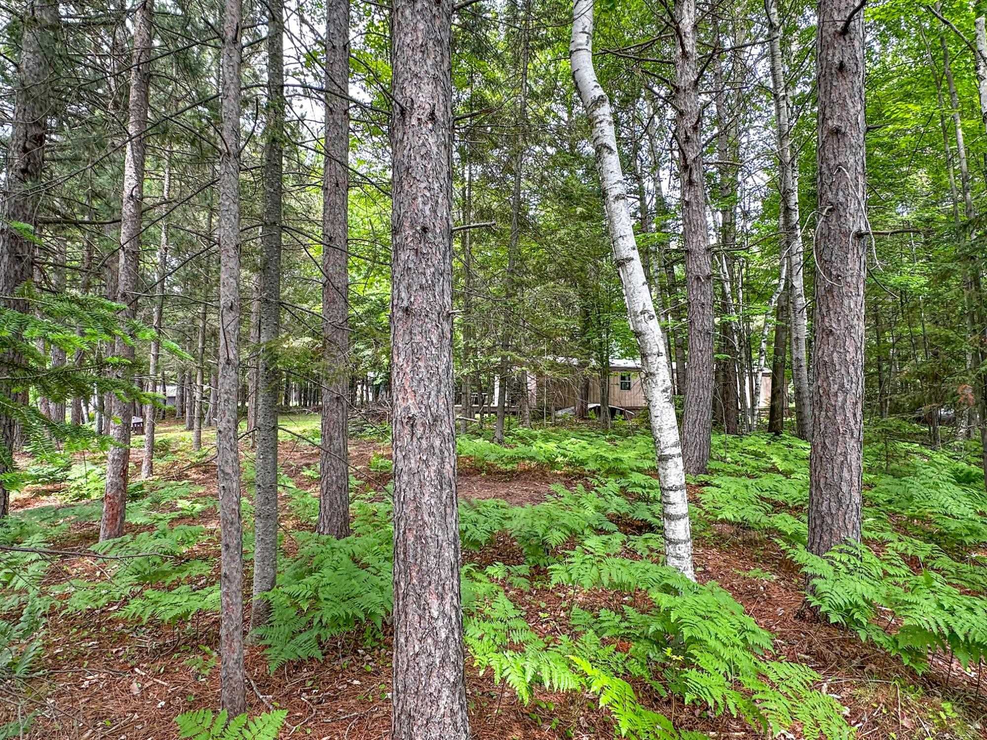 N8919 ISLAND ROAD, Phillips, Wisconsin 54555, 3 Bedrooms Bedrooms, ,1 BathroomBathrooms,Residential,For Sale,N8919 ISLAND ROAD,22502808