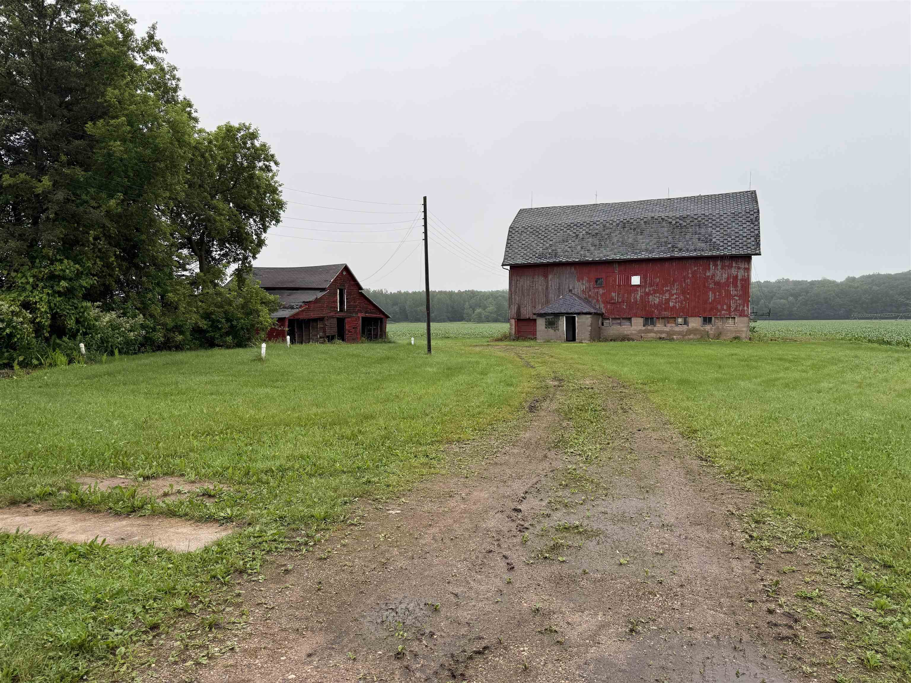 E1384 WOLF RIVER ROAD, Iola, Wisconsin 54945, 4 Bedrooms Bedrooms, ,2 BathroomsBathrooms,Residential,For Sale,E1384 WOLF RIVER ROAD,22502862