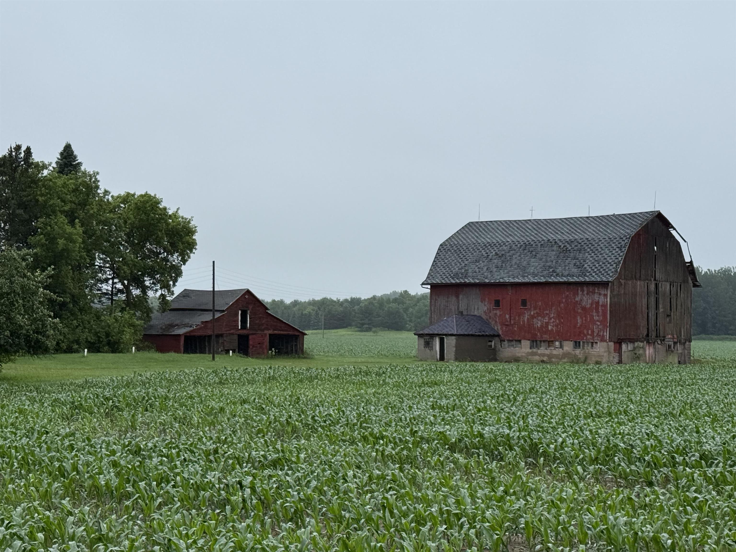 E1384 WOLF RIVER ROAD, Iola, Wisconsin 54945, 4 Bedrooms Bedrooms, ,2 BathroomsBathrooms,Residential,For Sale,E1384 WOLF RIVER ROAD,22502862