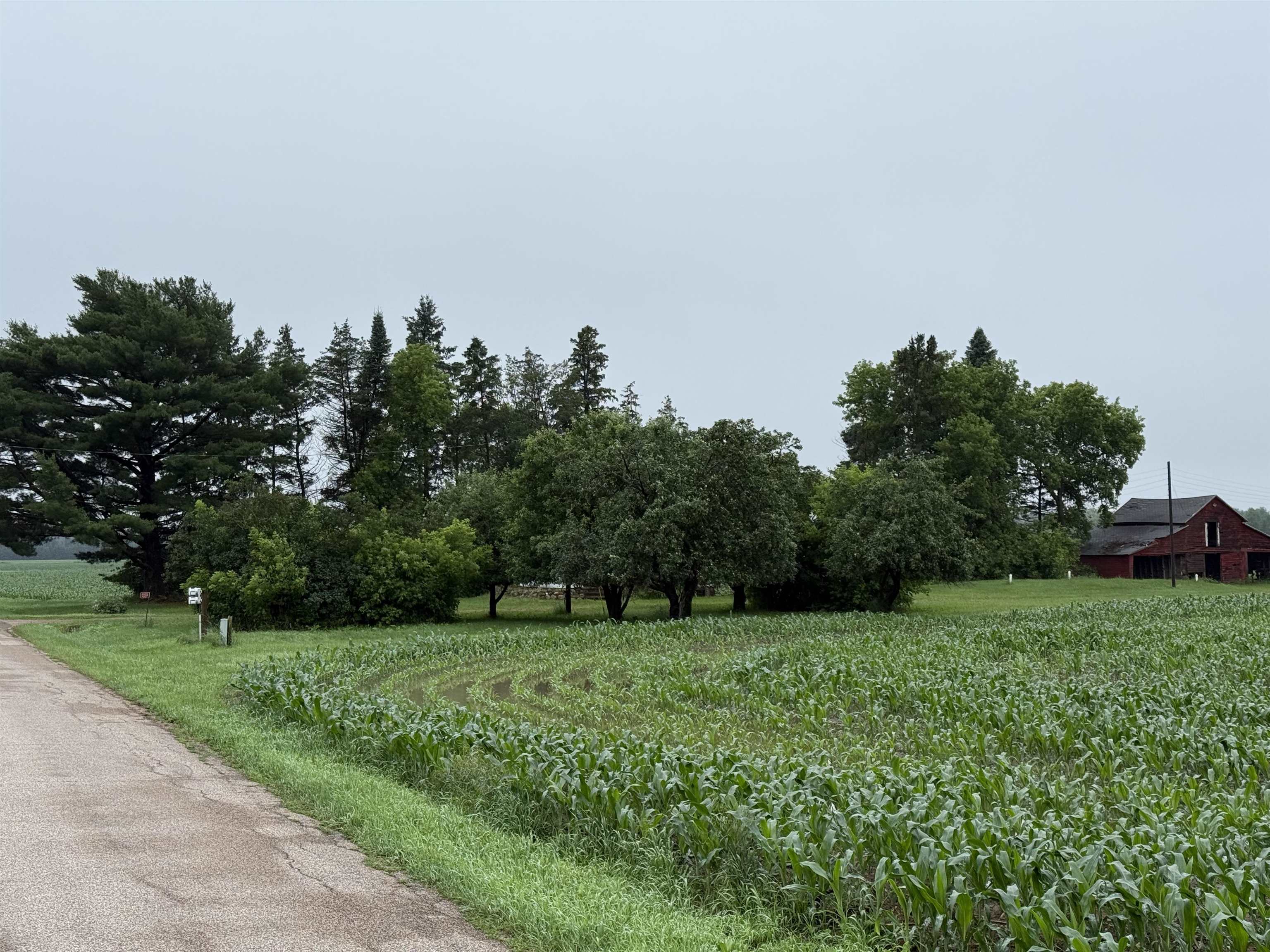 E1384 WOLF RIVER ROAD, Iola, Wisconsin 54945, 4 Bedrooms Bedrooms, ,2 BathroomsBathrooms,Residential,For Sale,E1384 WOLF RIVER ROAD,22502862