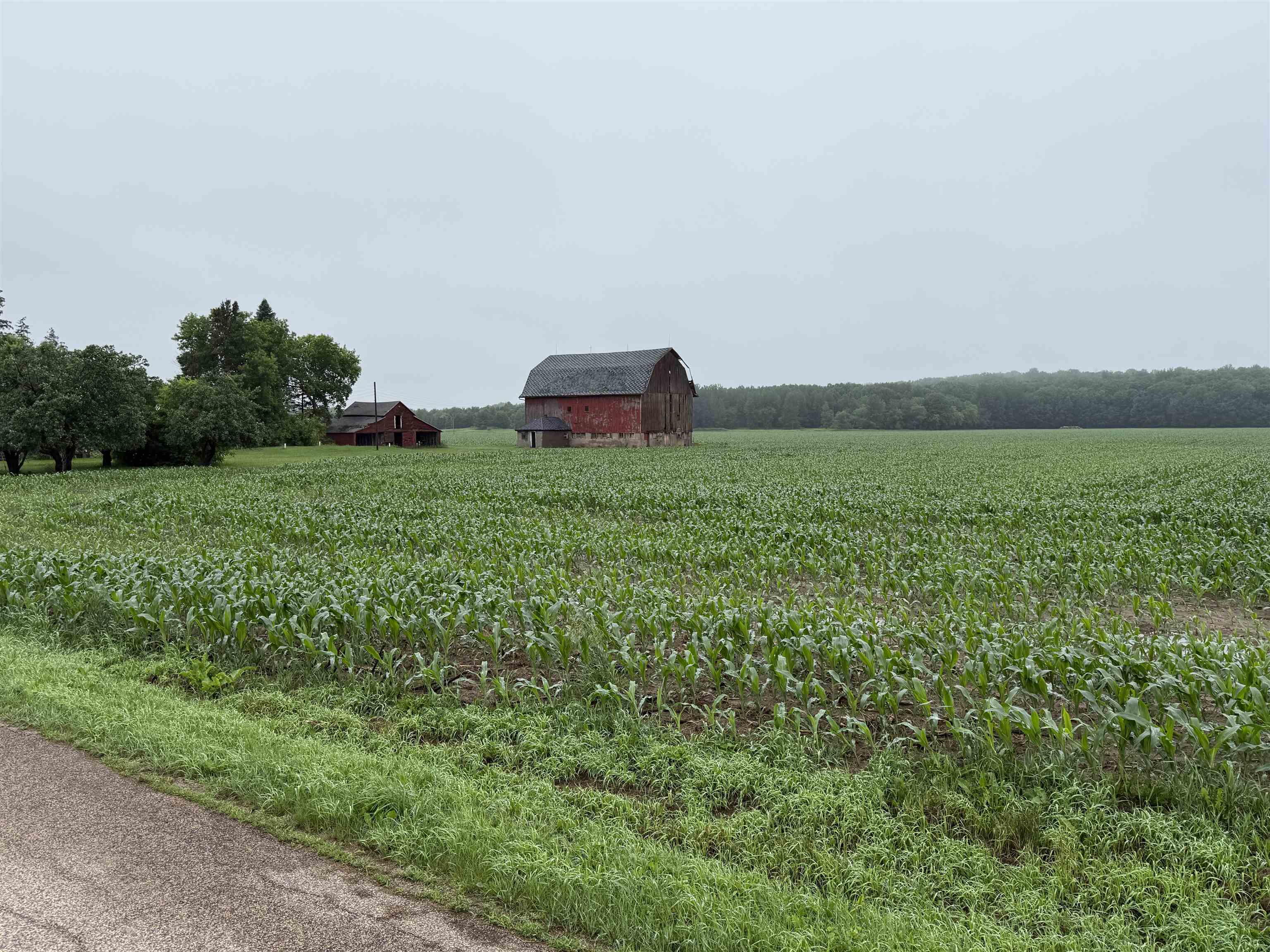 E1384 WOLF RIVER ROAD, Iola, Wisconsin 54945, 4 Bedrooms Bedrooms, ,2 BathroomsBathrooms,Residential,For Sale,E1384 WOLF RIVER ROAD,22502862