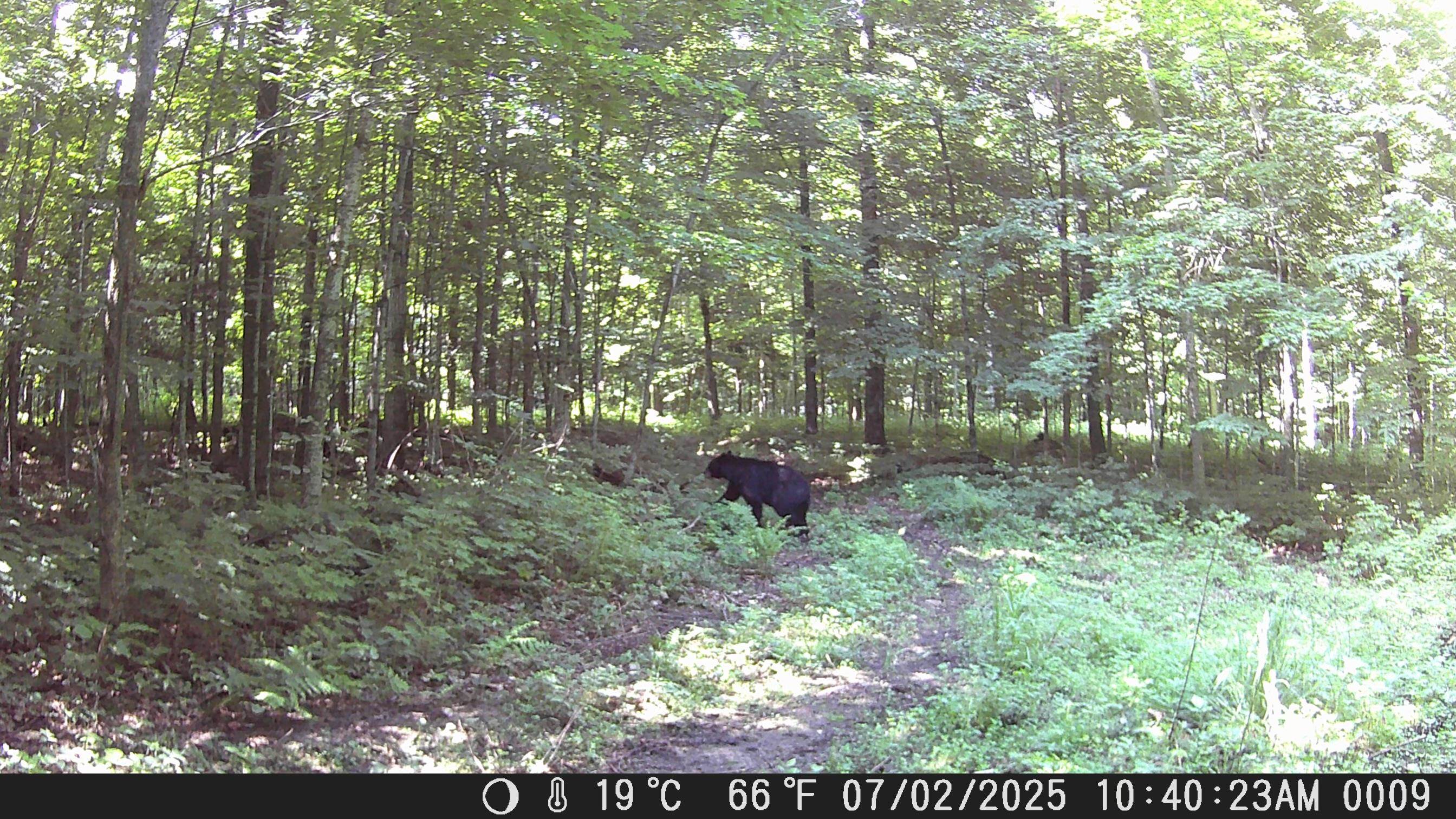 PREHN DRIVE, MAINE, Wisconsin 54401, ,Land,For Sale,PREHN DRIVE,22502989