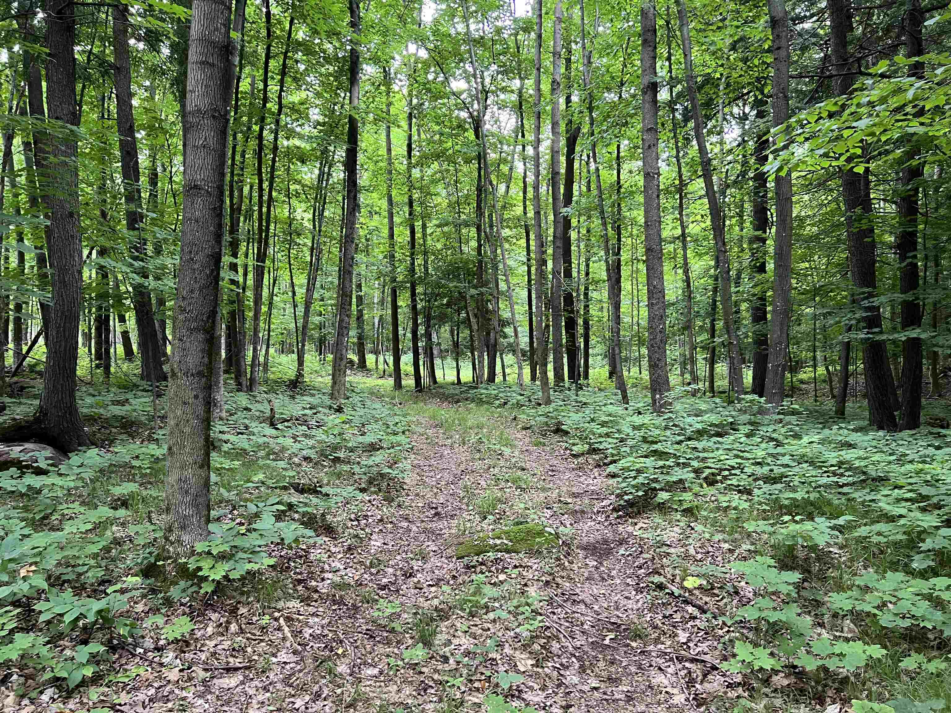 PREHN DRIVE, MAINE, Wisconsin 54401, ,Land,For Sale,PREHN DRIVE,22502989