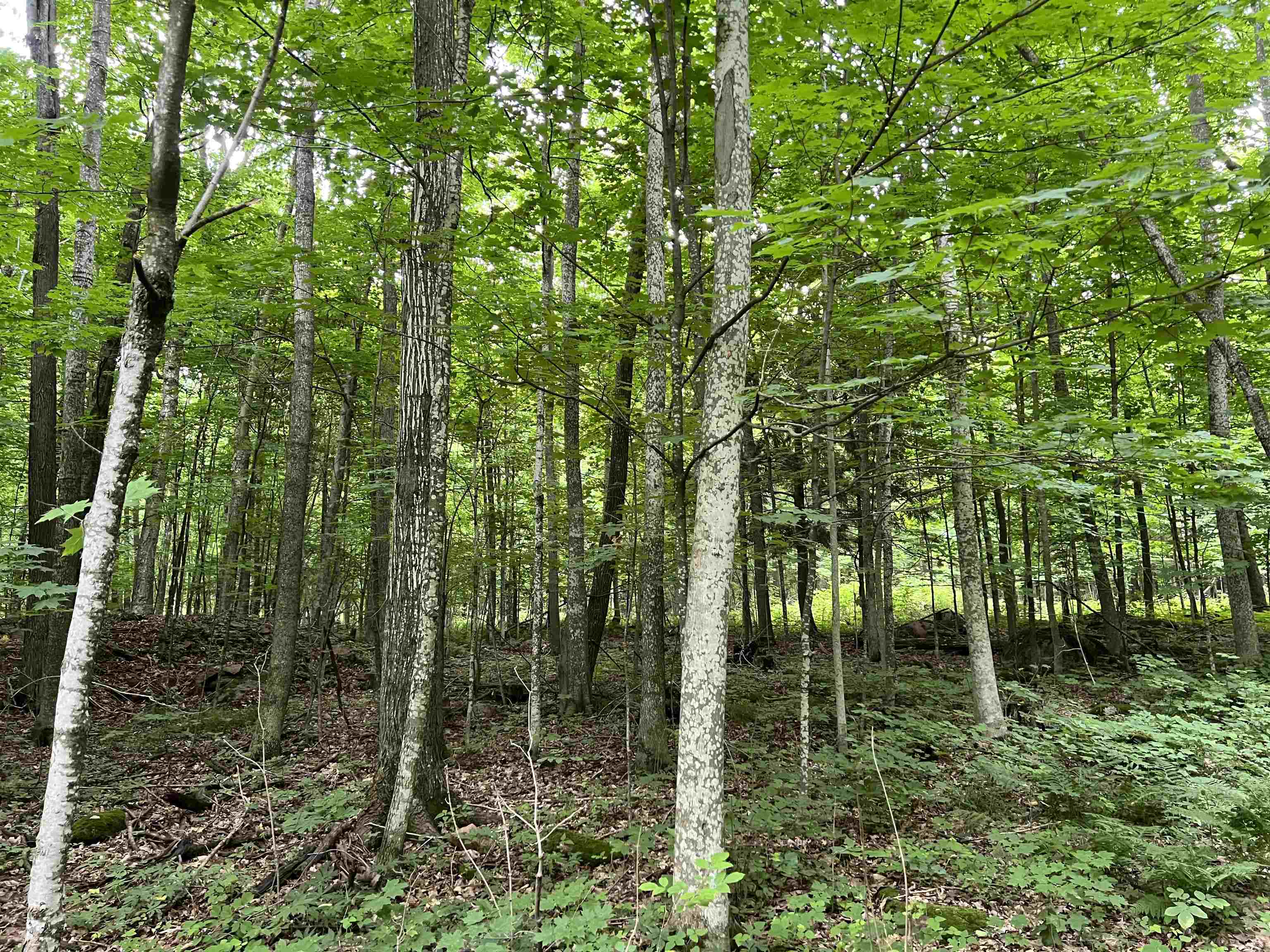 PREHN DRIVE, MAINE, Wisconsin 54401, ,Land,For Sale,PREHN DRIVE,22502989