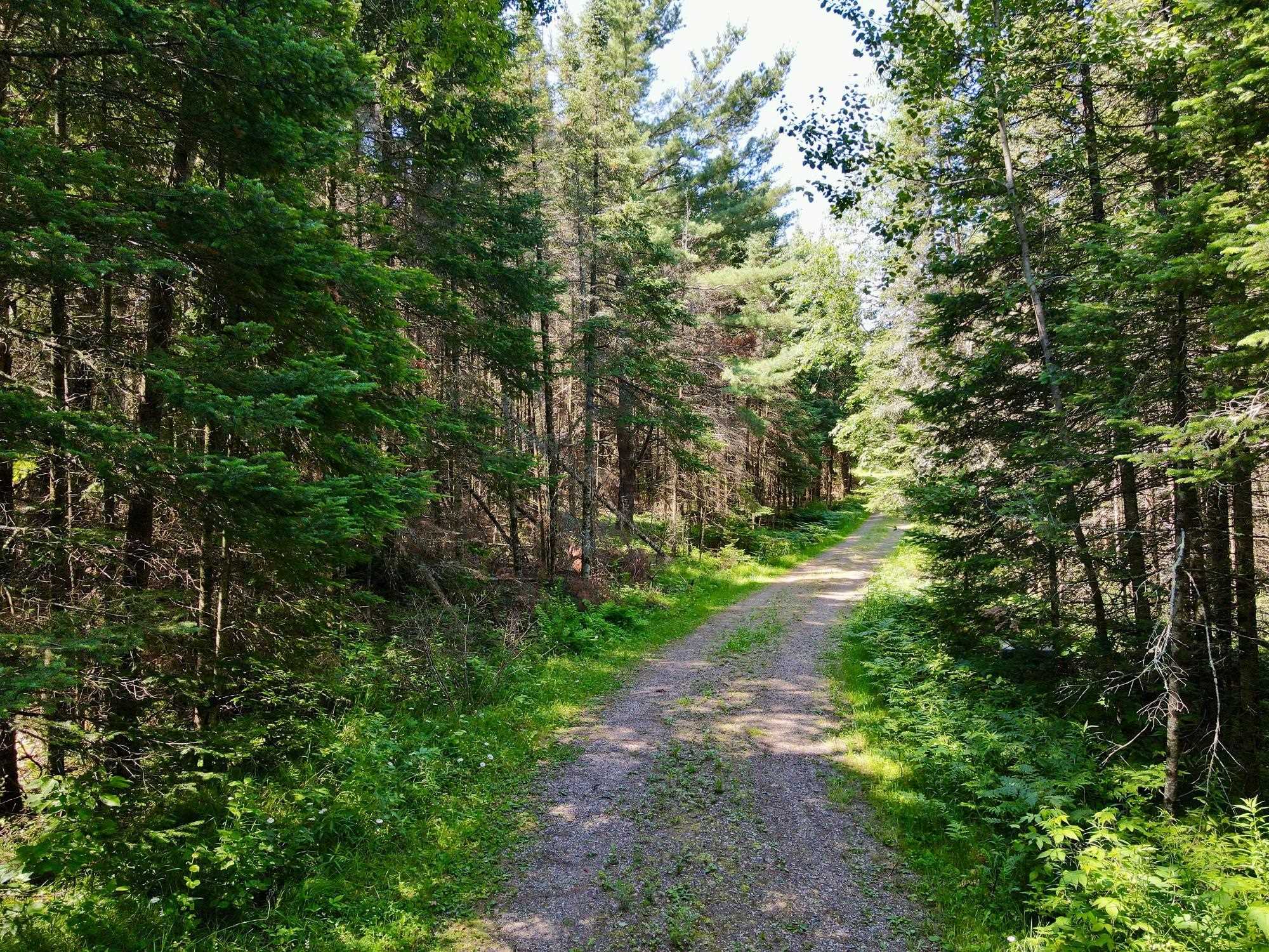 9072 N GRUNDY ROAD, Tomahawk, Wisconsin 54487, 1 Bedroom Bedrooms, ,1 BathroomBathrooms,Residential,For Sale,9072 N GRUNDY ROAD,22503258