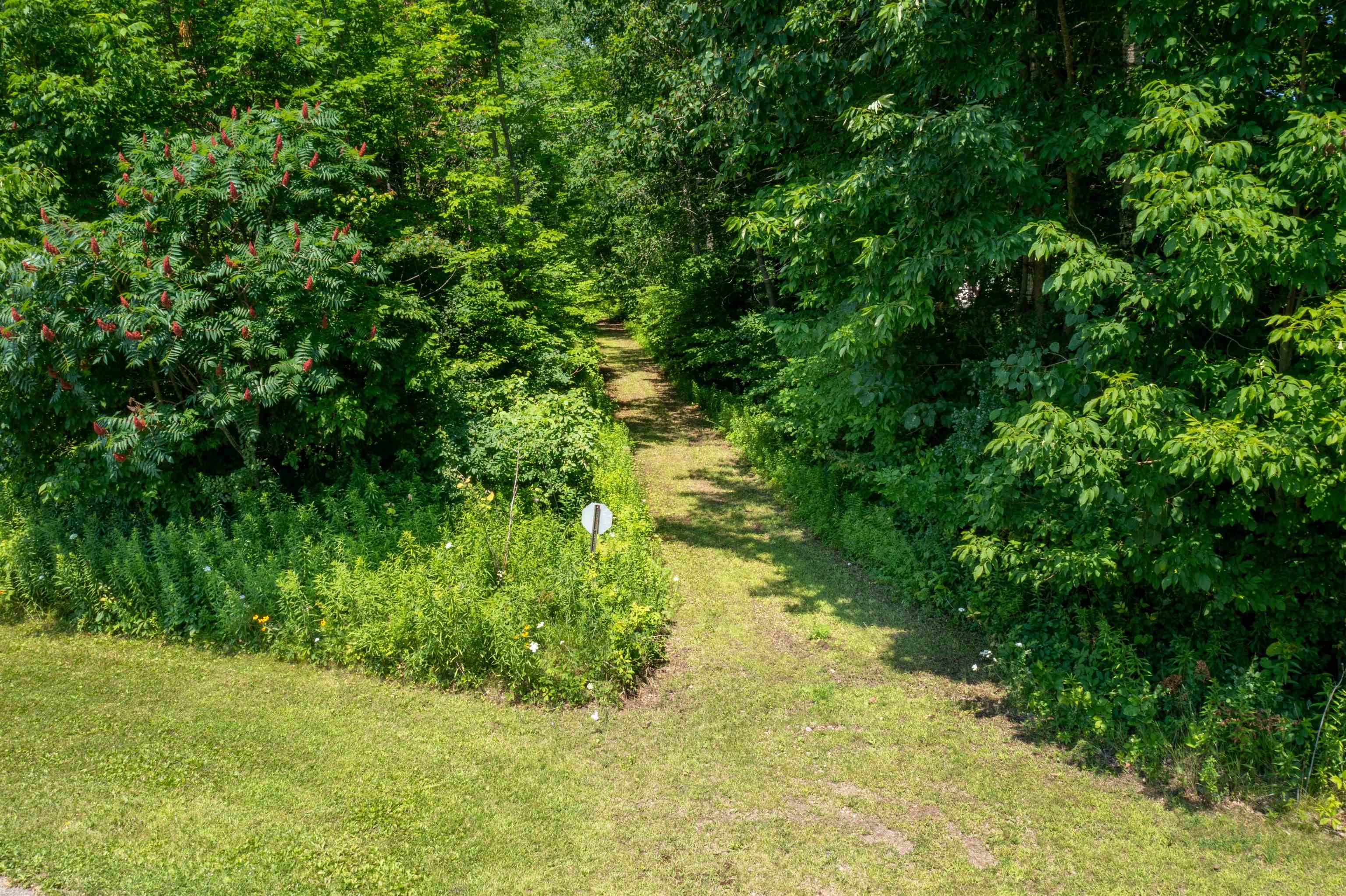 612 HIGH STREET, Birnamwood, Wisconsin 54414, ,Land,For Sale,612 HIGH STREET,22503337