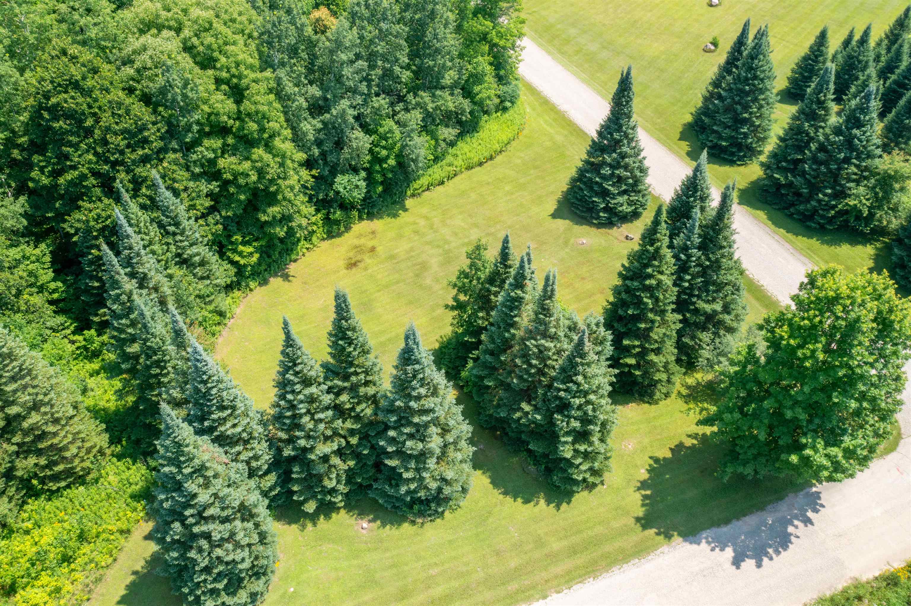 612 HIGH STREET, Birnamwood, Wisconsin 54414, ,Land,For Sale,612 HIGH STREET,22503337