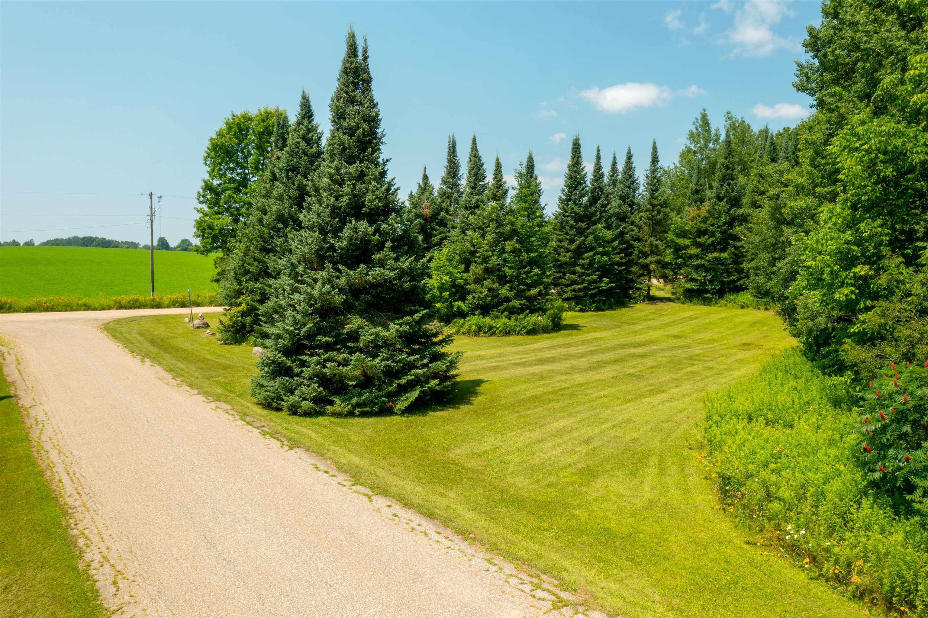 612 HIGH STREET, Birnamwood, Wisconsin 54414, ,Land,For Sale,612 HIGH STREET,22503337