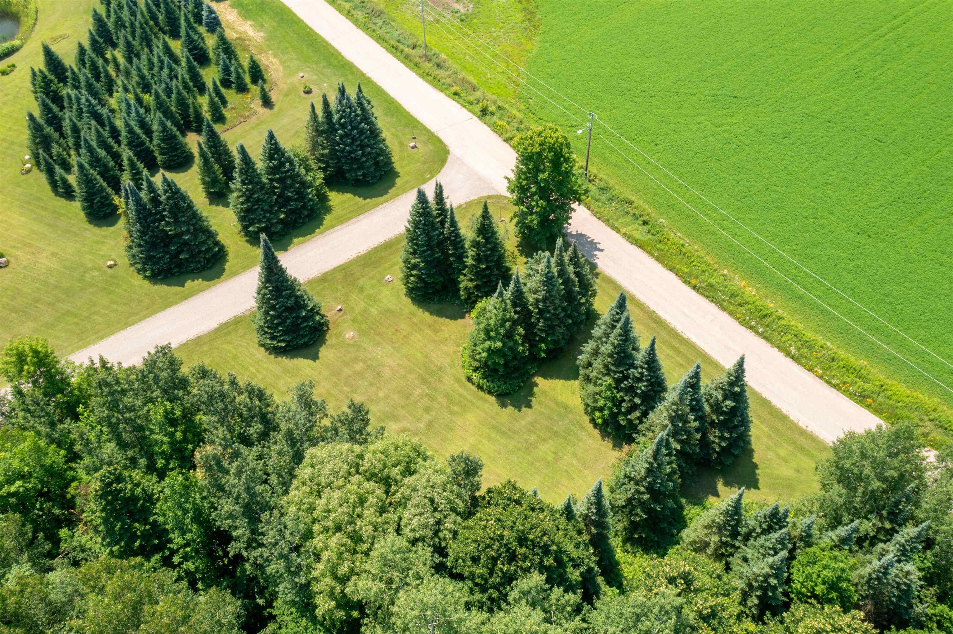 612 HIGH STREET, Birnamwood, Wisconsin 54414, ,Land,For Sale,612 HIGH STREET,22503337