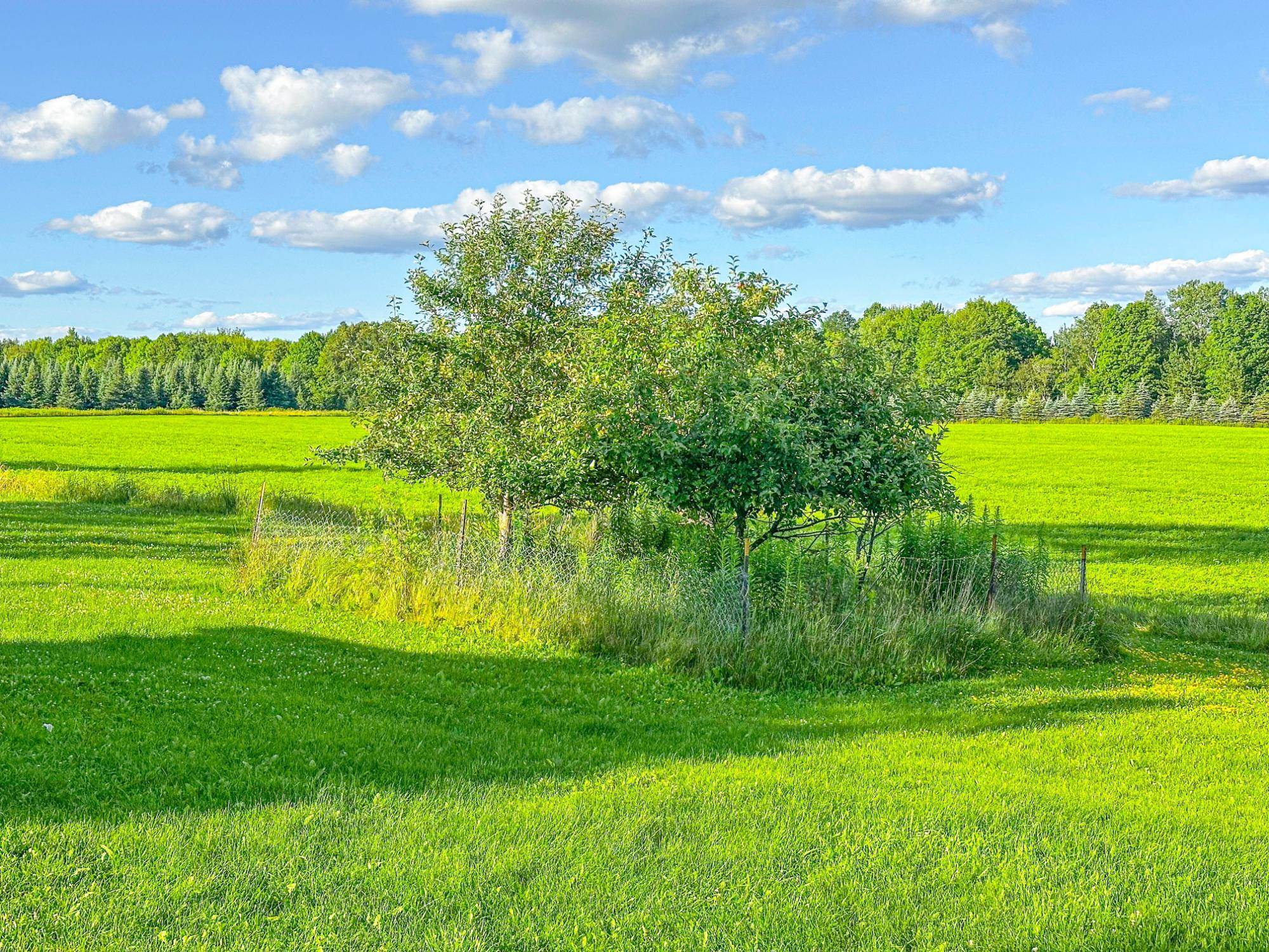 W2554 COUNTY ROAD D, Brantwood, Wisconsin 54513, 4 Bedrooms Bedrooms, ,3 BathroomsBathrooms,Residential,For Sale,W2554 COUNTY ROAD D,22503383