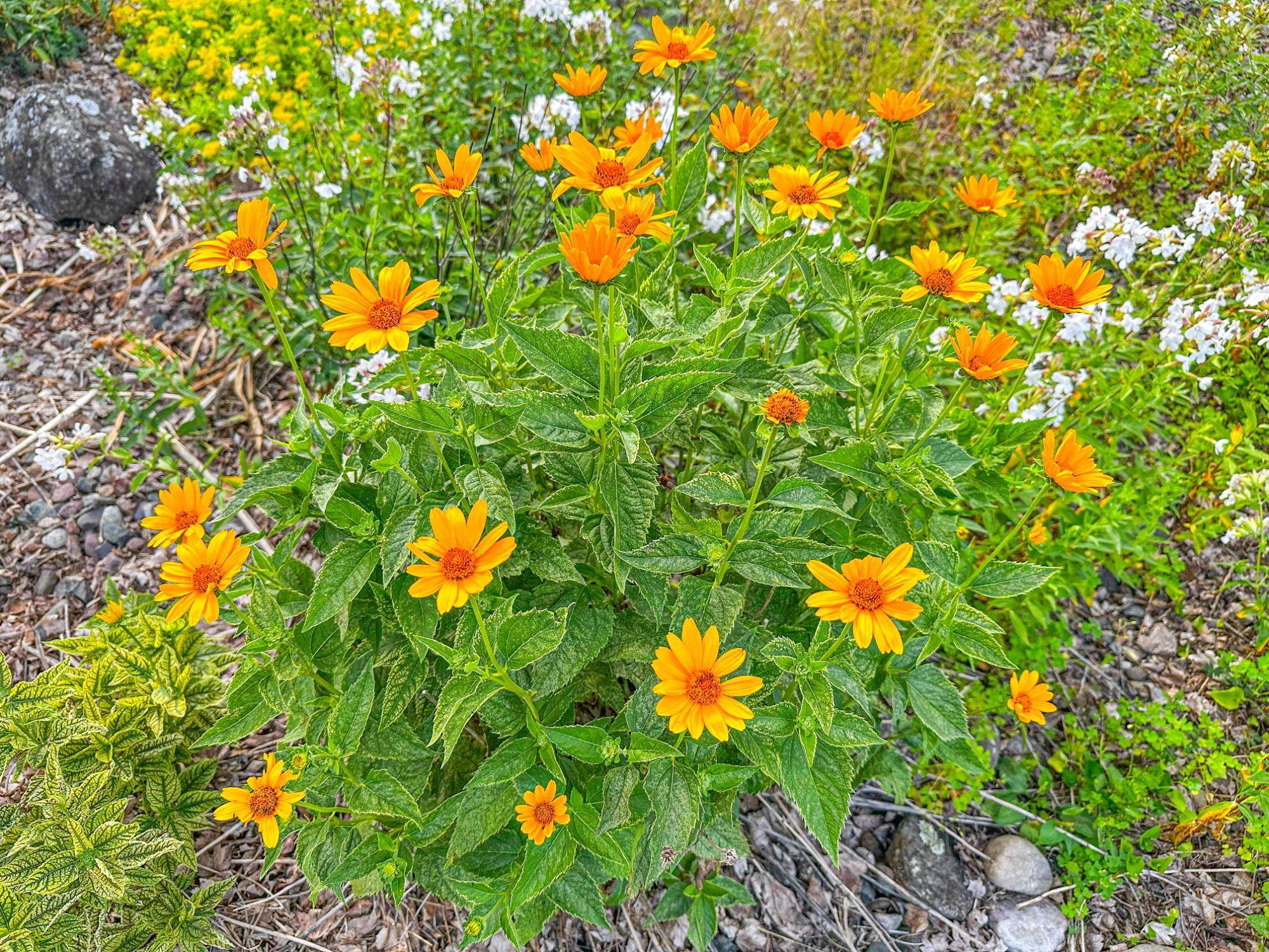 W2554 COUNTY ROAD D, Brantwood, Wisconsin 54513, 4 Bedrooms Bedrooms, ,3 BathroomsBathrooms,Residential,For Sale,W2554 COUNTY ROAD D,22503383