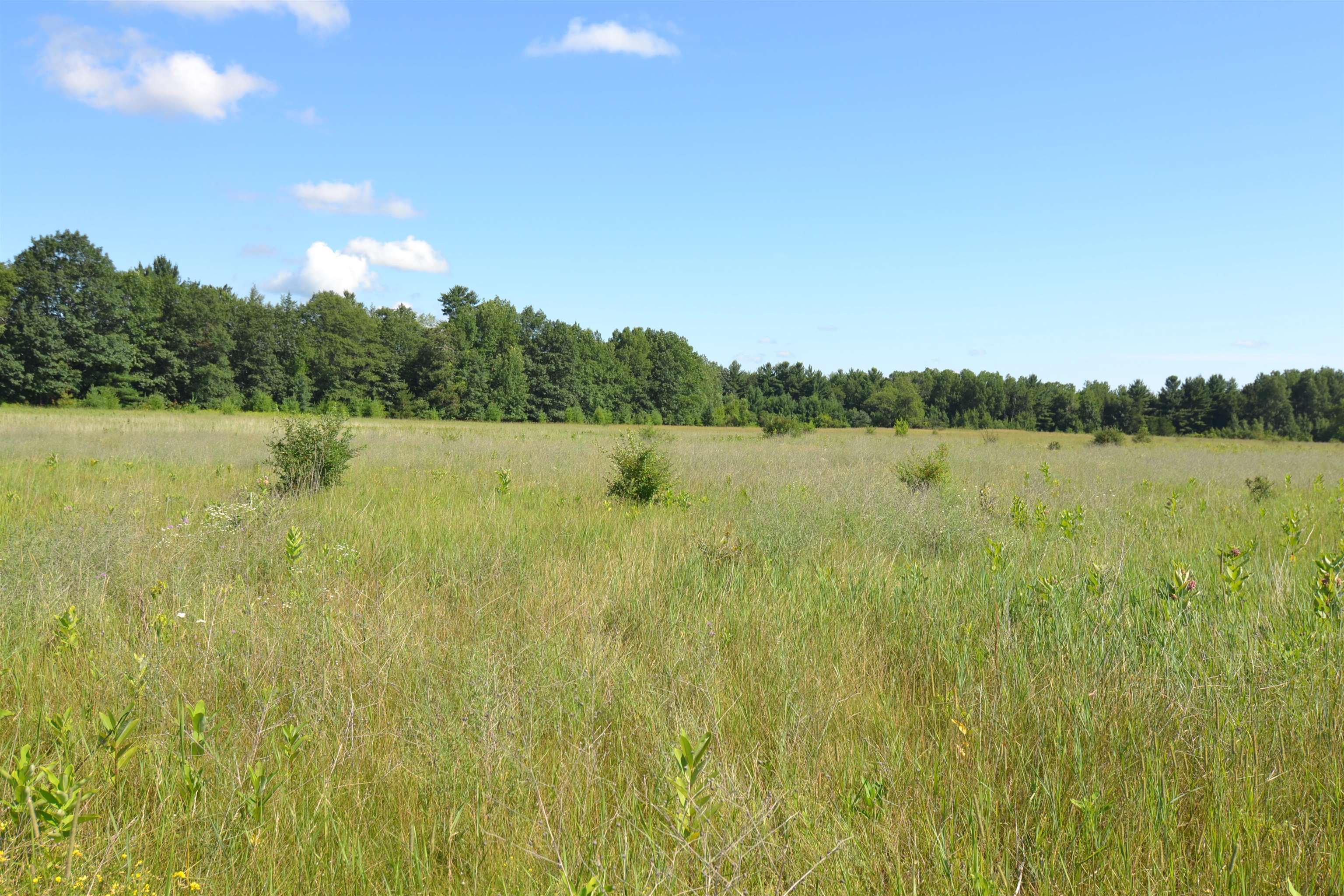 149722 COUNTY ROAD NN, Wausau, Wisconsin 54401, ,Land,For Sale,149722 COUNTY ROAD NN,22503582