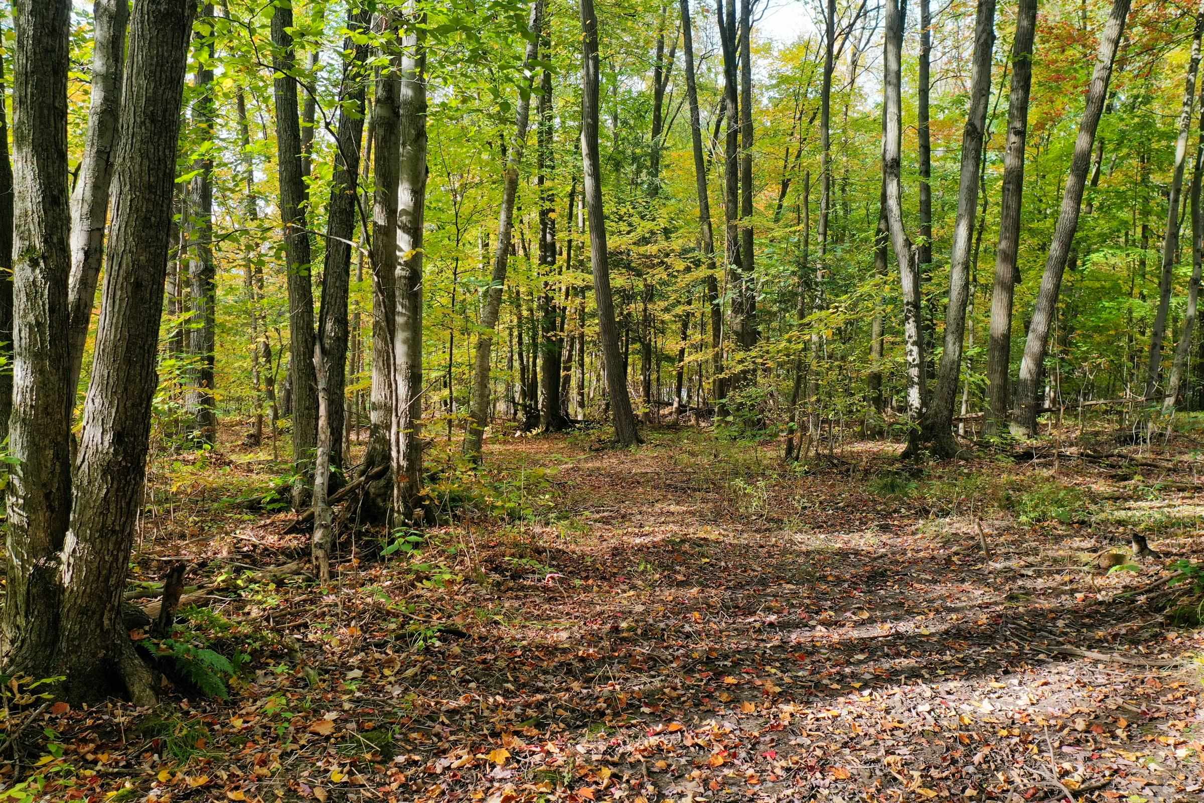 N3334 OAK RIDGE ROAD, Medford, Wisconsin 54451, 4 Bedrooms Bedrooms, ,3 BathroomsBathrooms,Residential,For Sale,N3334 OAK RIDGE ROAD,22503590