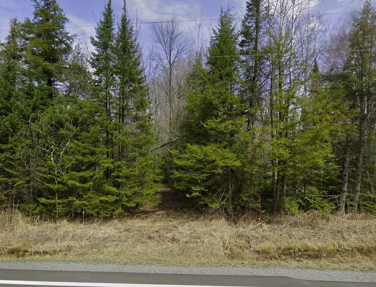 Lot 6 GUSMAN ROAD, Weston, Wisconsin 54476, ,Land,For Sale,Lot 6 GUSMAN ROAD,22503740
