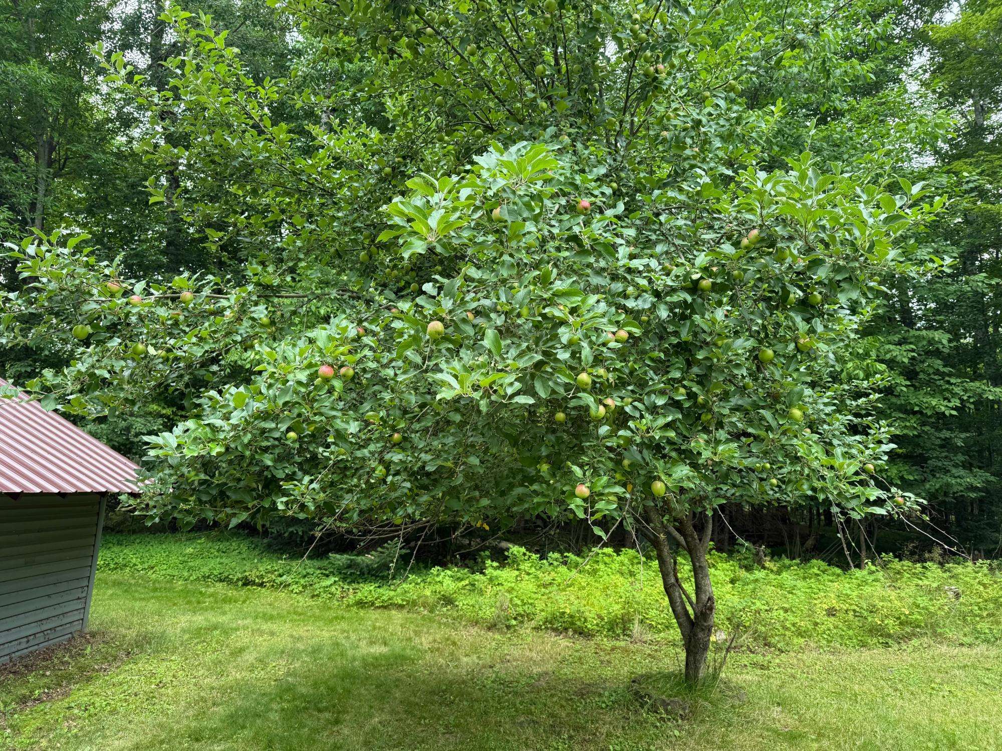 W6845 DISAPPEARING CREEK, Phillips, Wisconsin 54555, 3 Bedrooms Bedrooms, ,2 BathroomsBathrooms,Residential,For Sale,W6845 DISAPPEARING CREEK,22503755