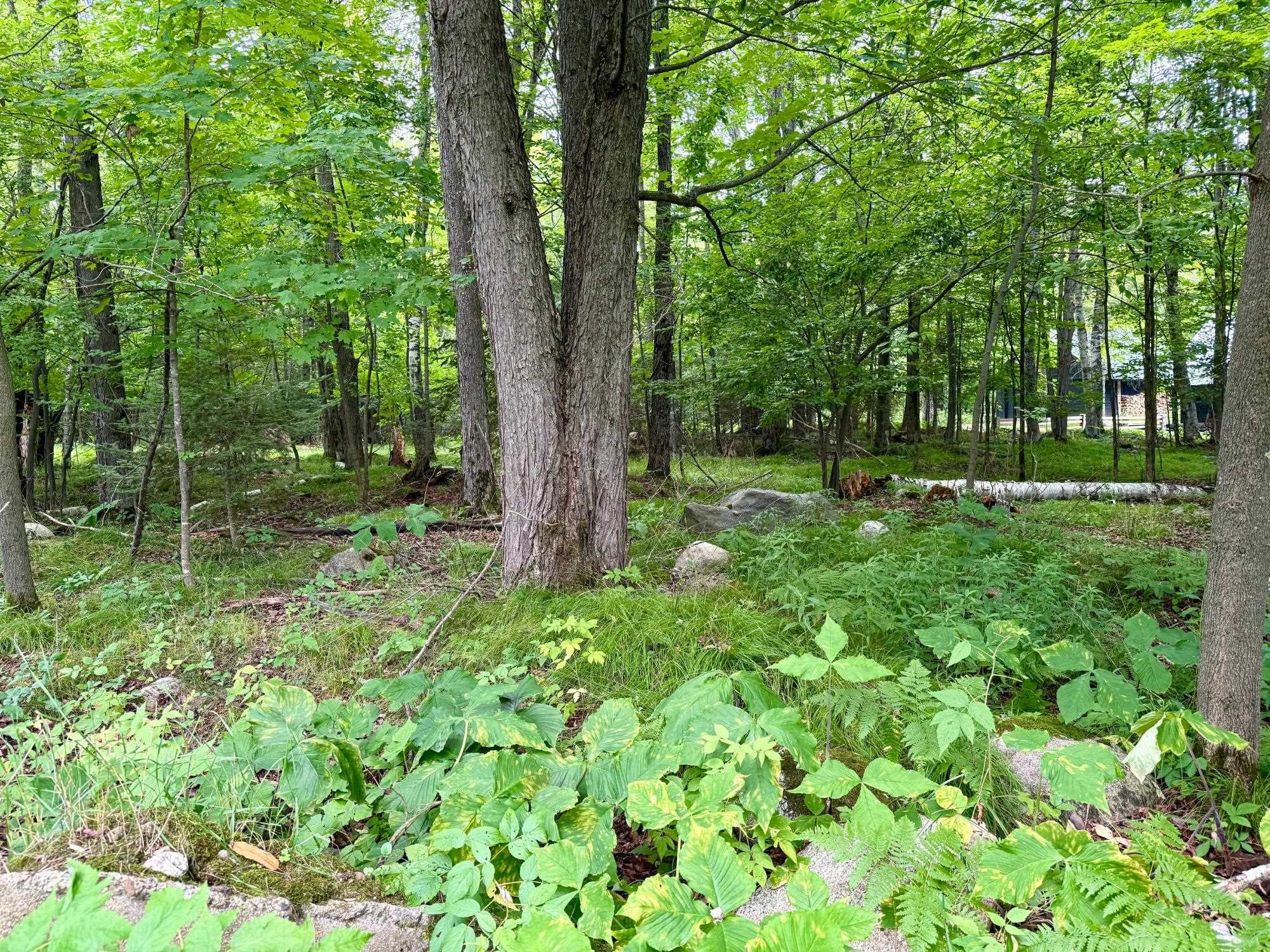 W6845 DISAPPEARING CREEK, Phillips, Wisconsin 54555, 3 Bedrooms Bedrooms, ,2 BathroomsBathrooms,Residential,For Sale,W6845 DISAPPEARING CREEK,22503755