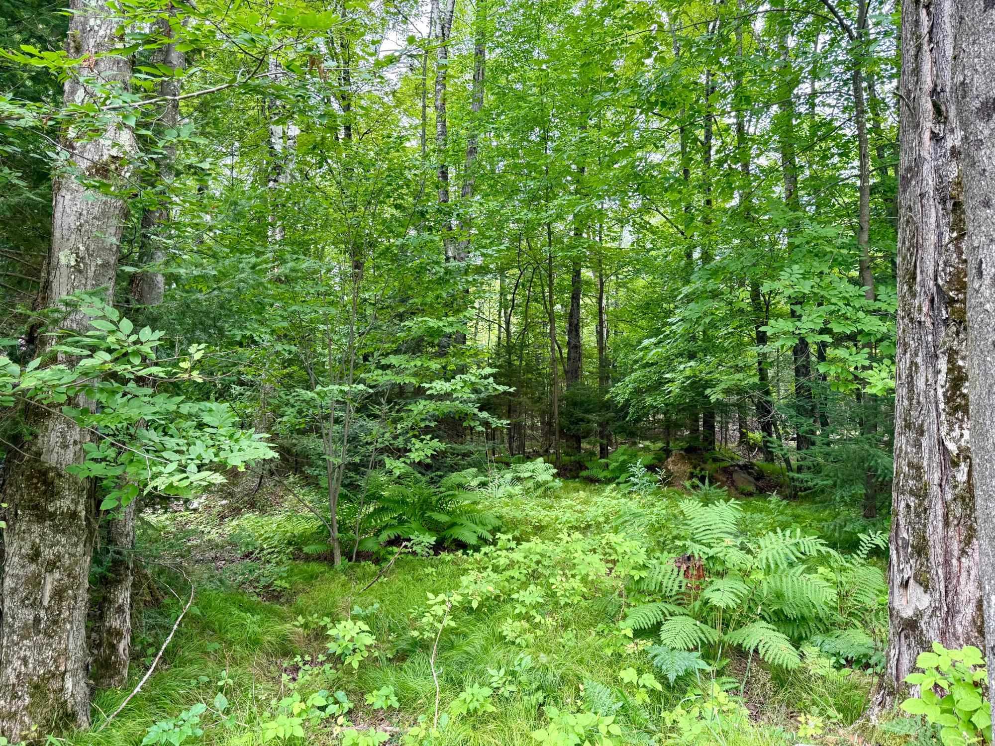 W6845 DISAPPEARING CREEK, Phillips, Wisconsin 54555, 3 Bedrooms Bedrooms, ,2 BathroomsBathrooms,Residential,For Sale,W6845 DISAPPEARING CREEK,22503755