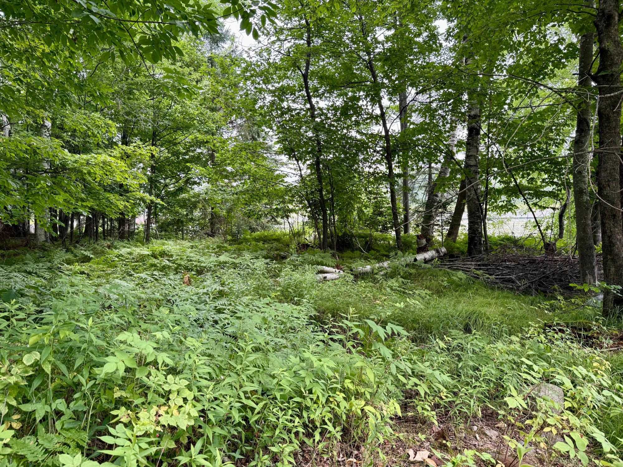 W6845 DISAPPEARING CREEK, Phillips, Wisconsin 54555, 3 Bedrooms Bedrooms, ,2 BathroomsBathrooms,Residential,For Sale,W6845 DISAPPEARING CREEK,22503755
