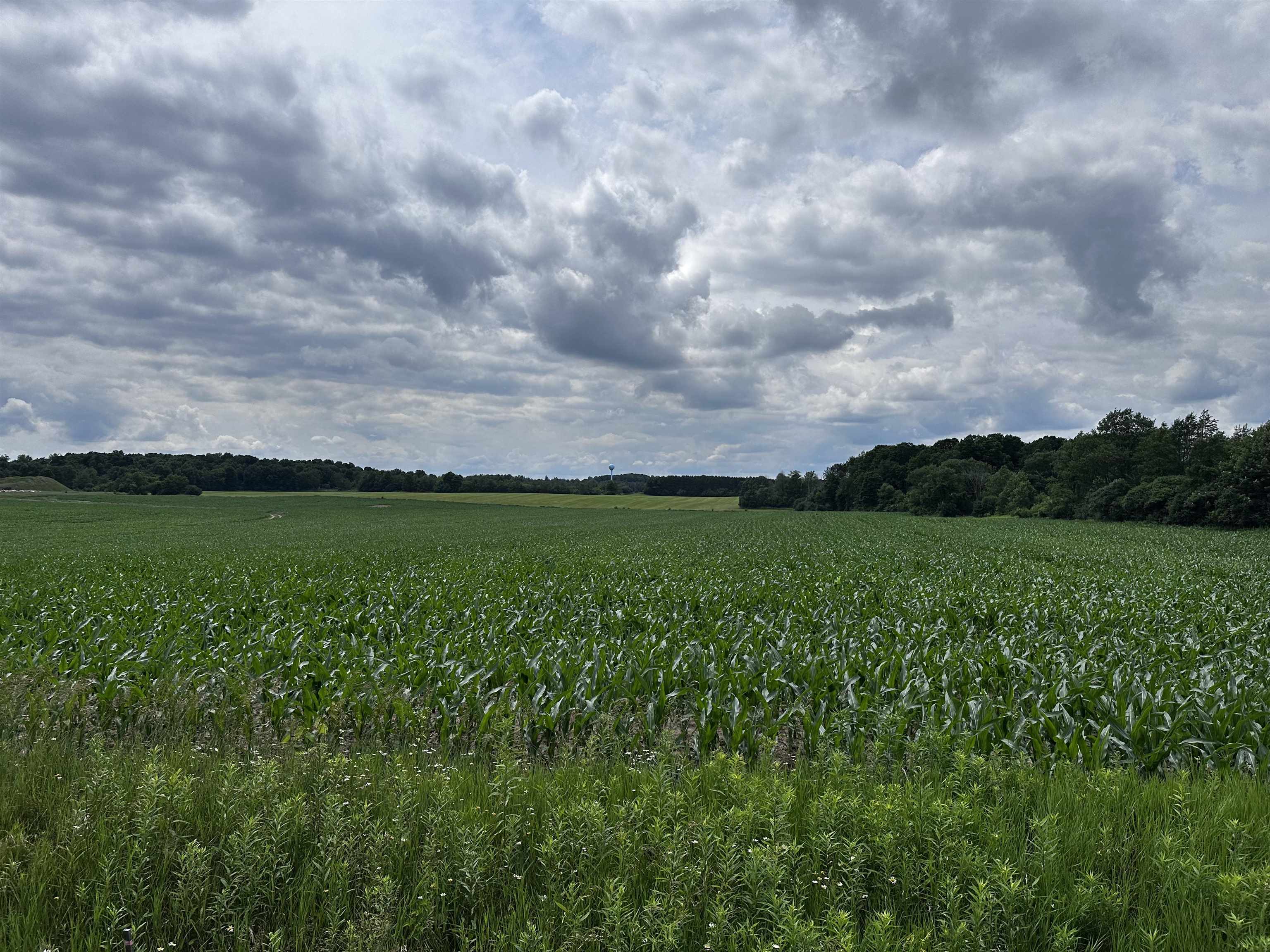 02 LIBERTY DRIVE, Wittenberg, Wisconsin 54499, ,Land,For Sale,02 LIBERTY DRIVE,22503759