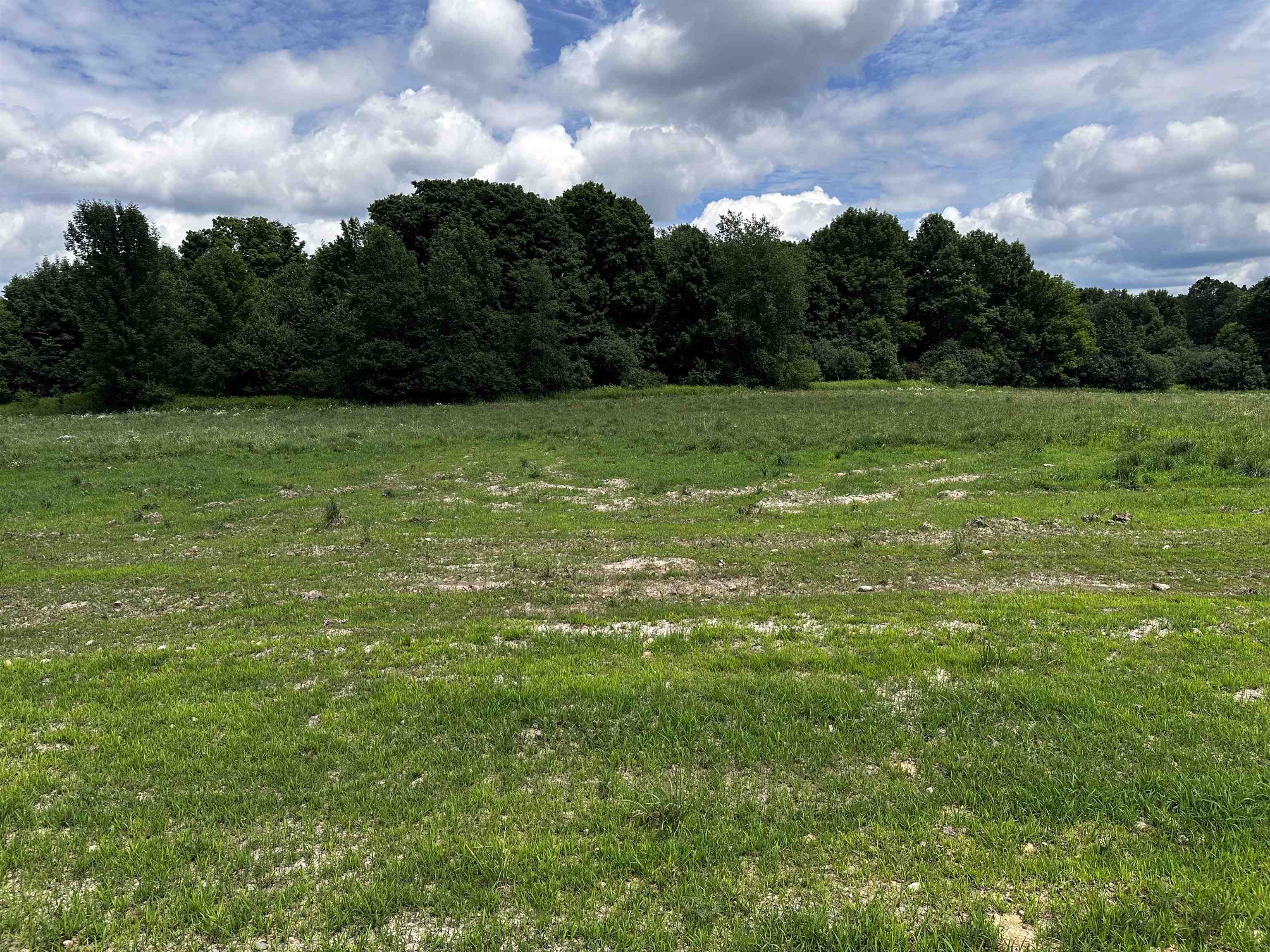 03 LIBERTY DRIVE, Wittenberg, Wisconsin 54499, ,Land,For Sale,03 LIBERTY DRIVE,22503760