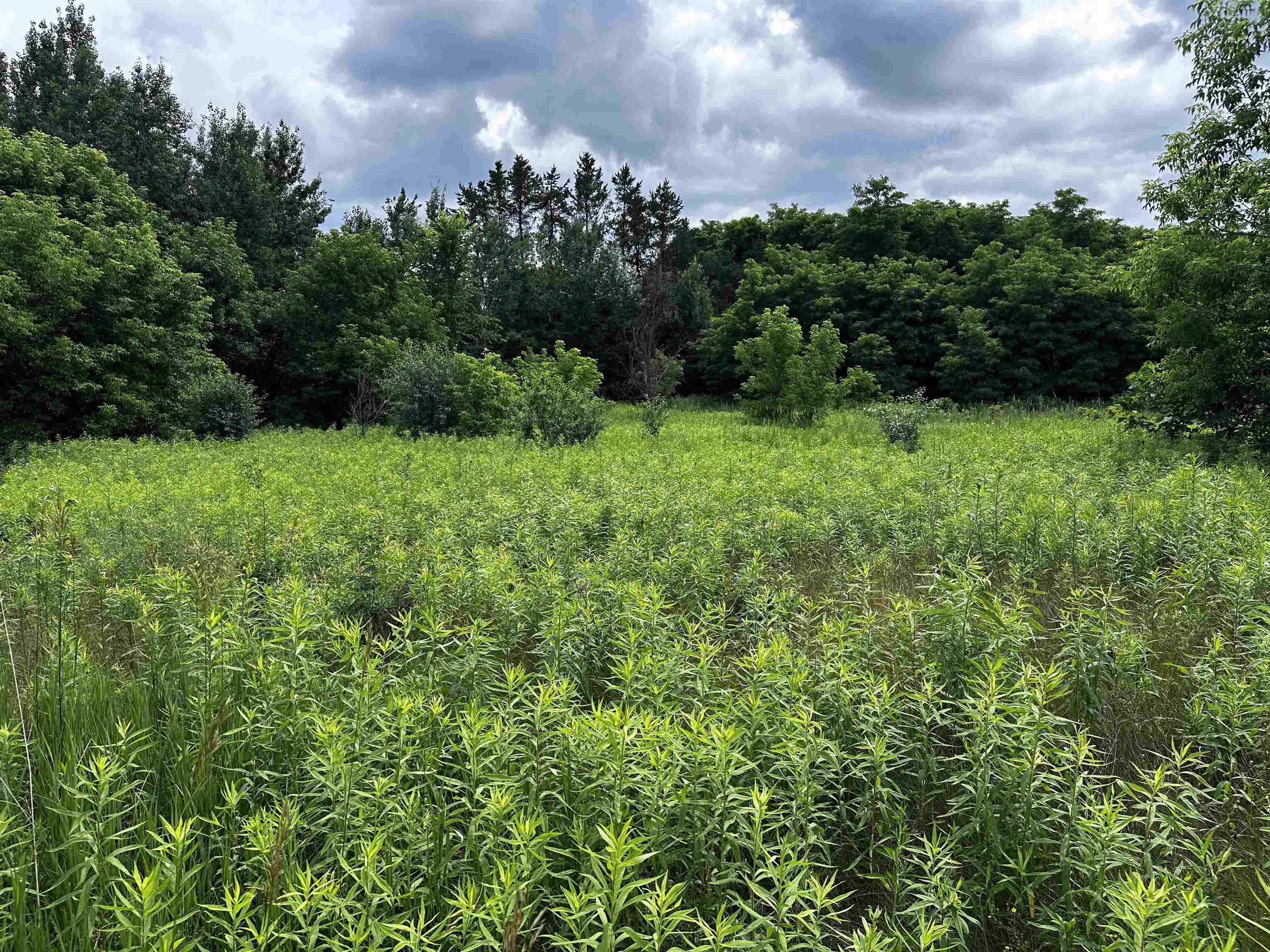 04 FREEDOM WAY, Wittenberg, Wisconsin 54499, ,Land,For Sale,04 FREEDOM WAY,22503761
