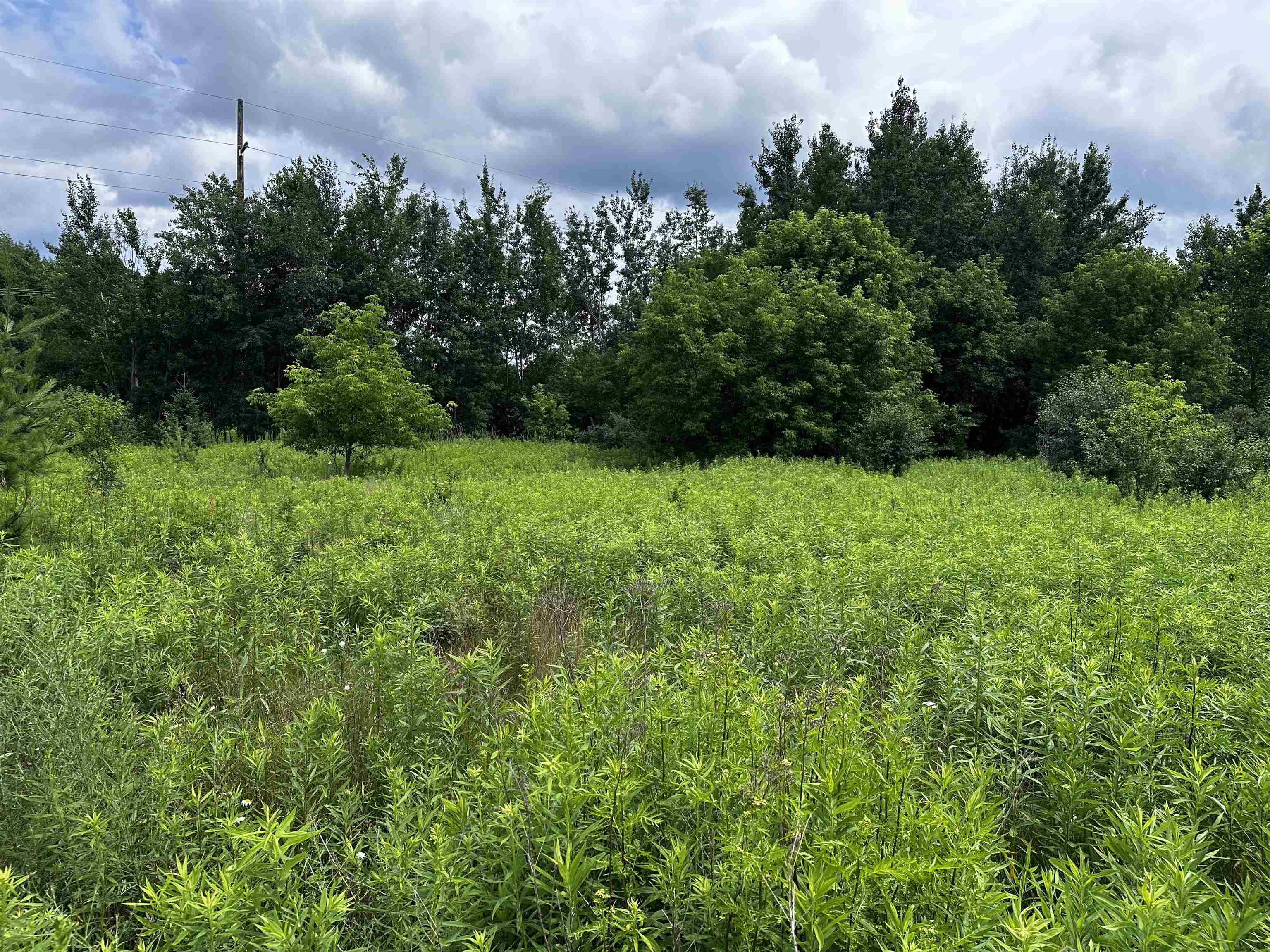 04 FREEDOM WAY, Wittenberg, Wisconsin 54499, ,Land,For Sale,04 FREEDOM WAY,22503761