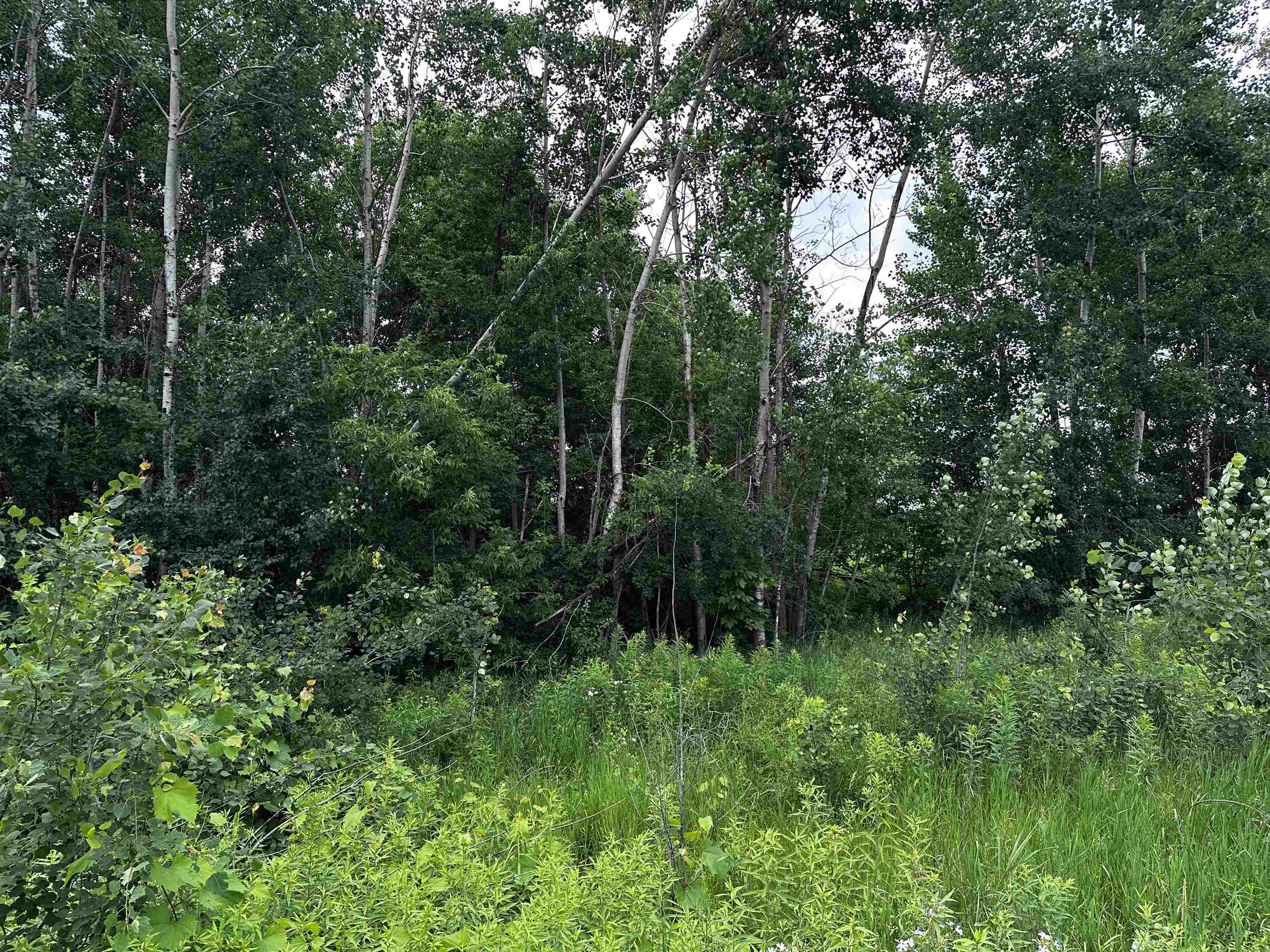05 FREEDOM WAY, Wittenberg, Wisconsin 54499, ,Land,For Sale,05 FREEDOM WAY,22503762