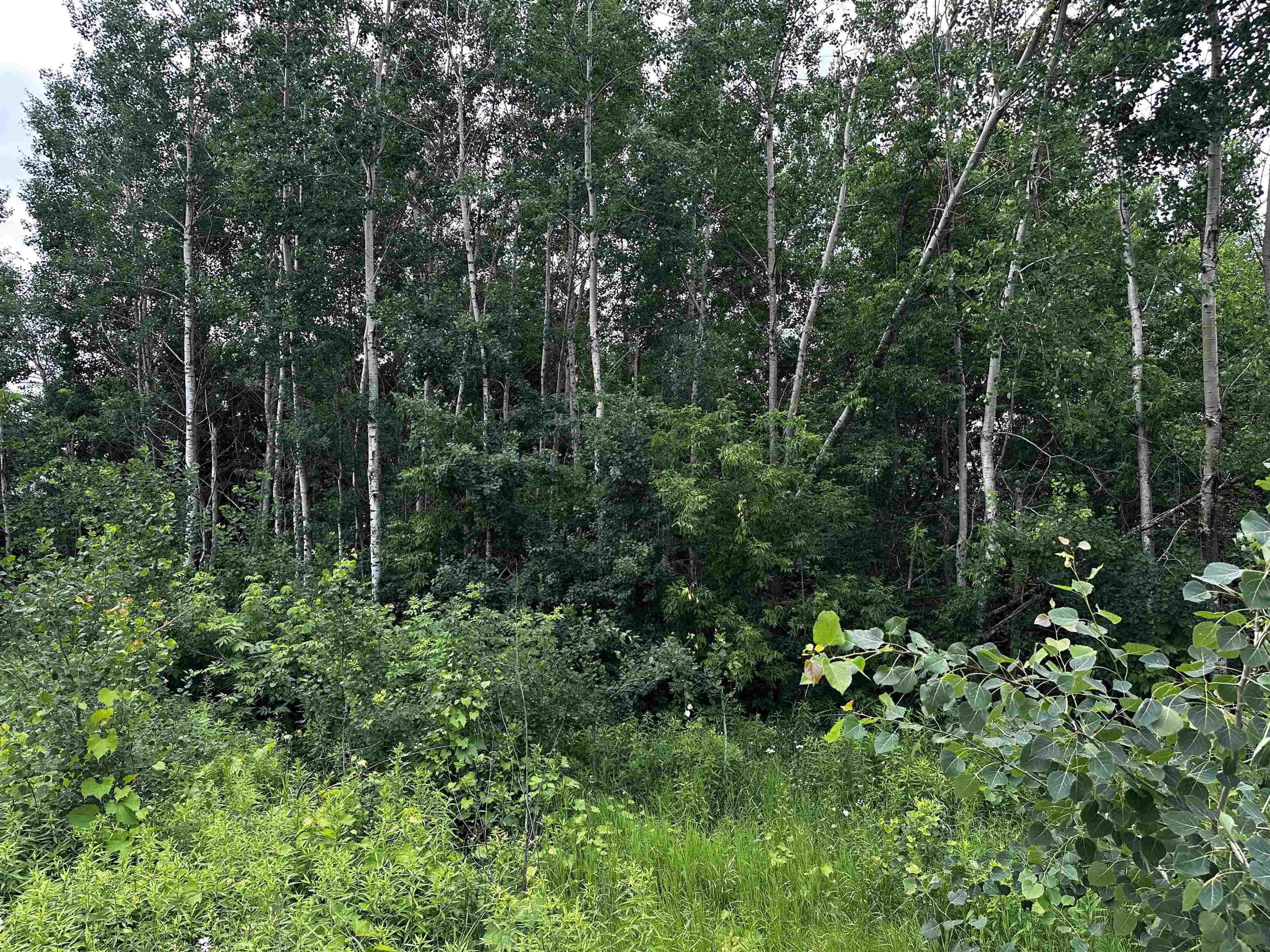05 FREEDOM WAY, Wittenberg, Wisconsin 54499, ,Land,For Sale,05 FREEDOM WAY,22503762