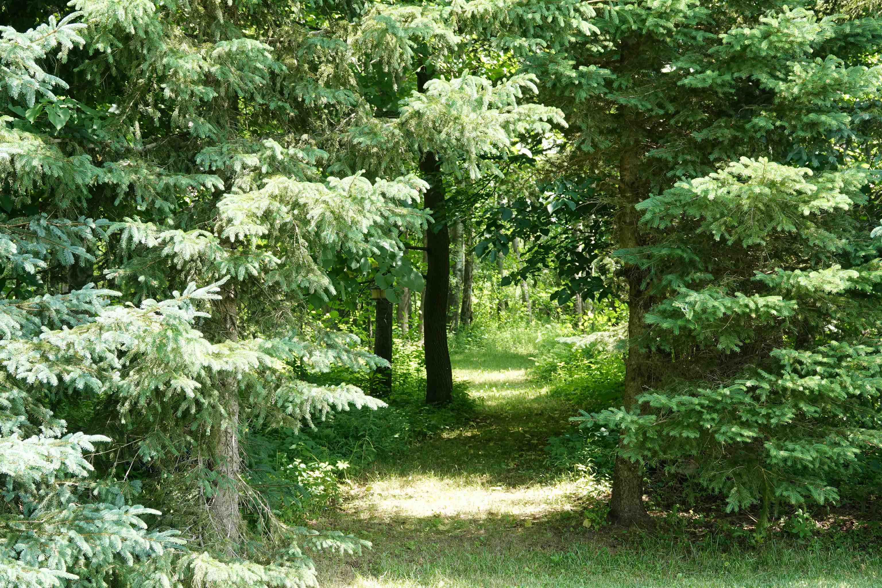 N3855 SHATTUCK STREET, Medford, Wisconsin 54451, 3 Bedrooms Bedrooms, ,2 BathroomsBathrooms,Residential,For Sale,N3855 SHATTUCK STREET,22503873