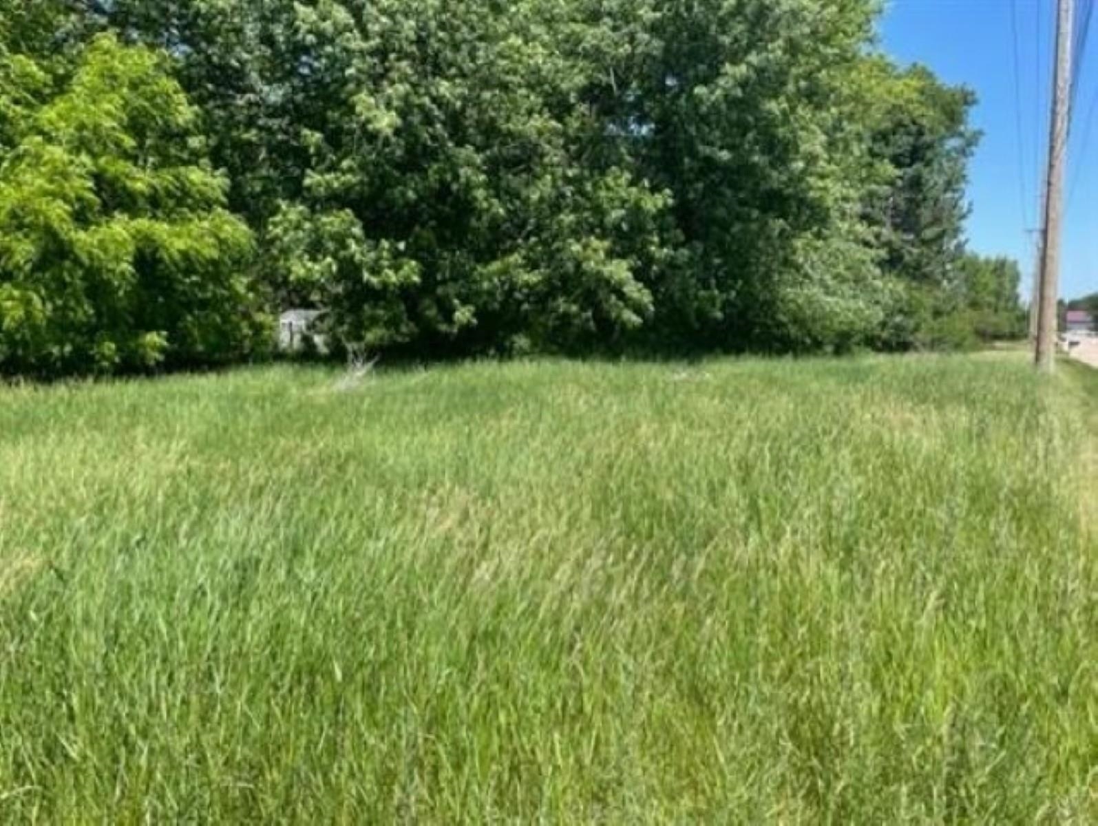 1220 SNYDER STREET, Wisconsin Rapids, Wisconsin 54454, ,Land,For Sale,1220 SNYDER STREET,22503898