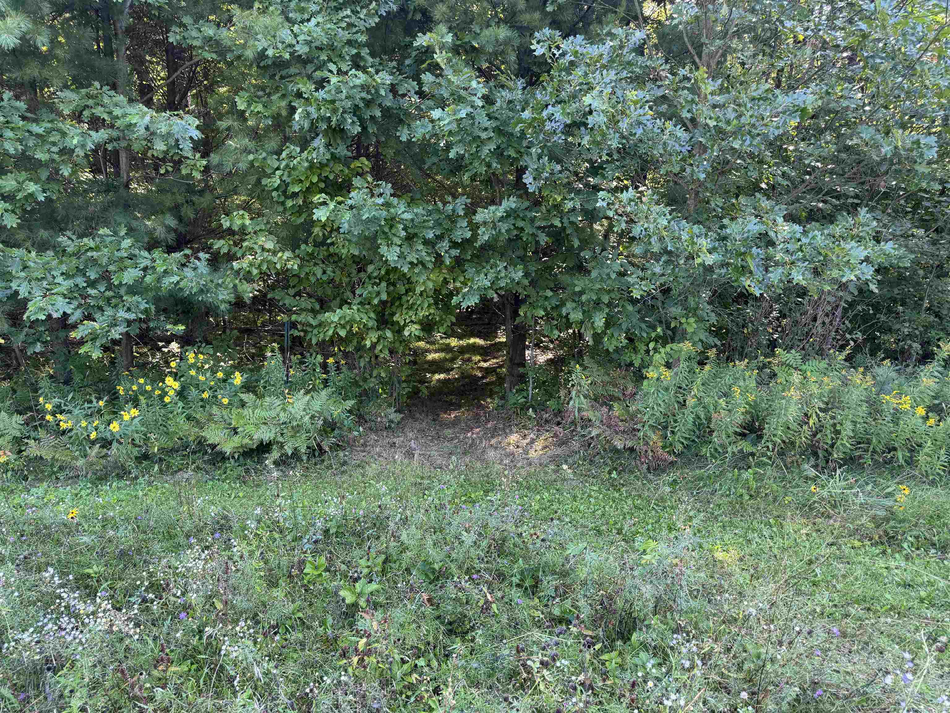 Lot 1 STATE HIGHWAY 13/34, Rudolph, Wisconsin 54475, ,Land,For Sale,Lot 1 STATE HIGHWAY 13/34,22504216