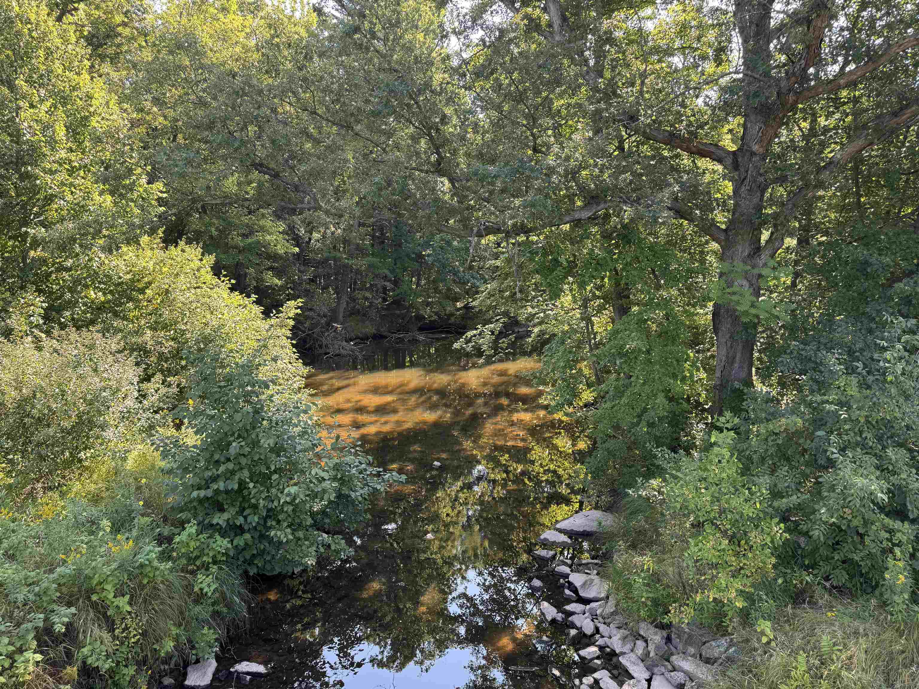 Lot 1 STATE HIGHWAY 13/34, Rudolph, Wisconsin 54475, ,Land,For Sale,Lot 1 STATE HIGHWAY 13/34,22504216