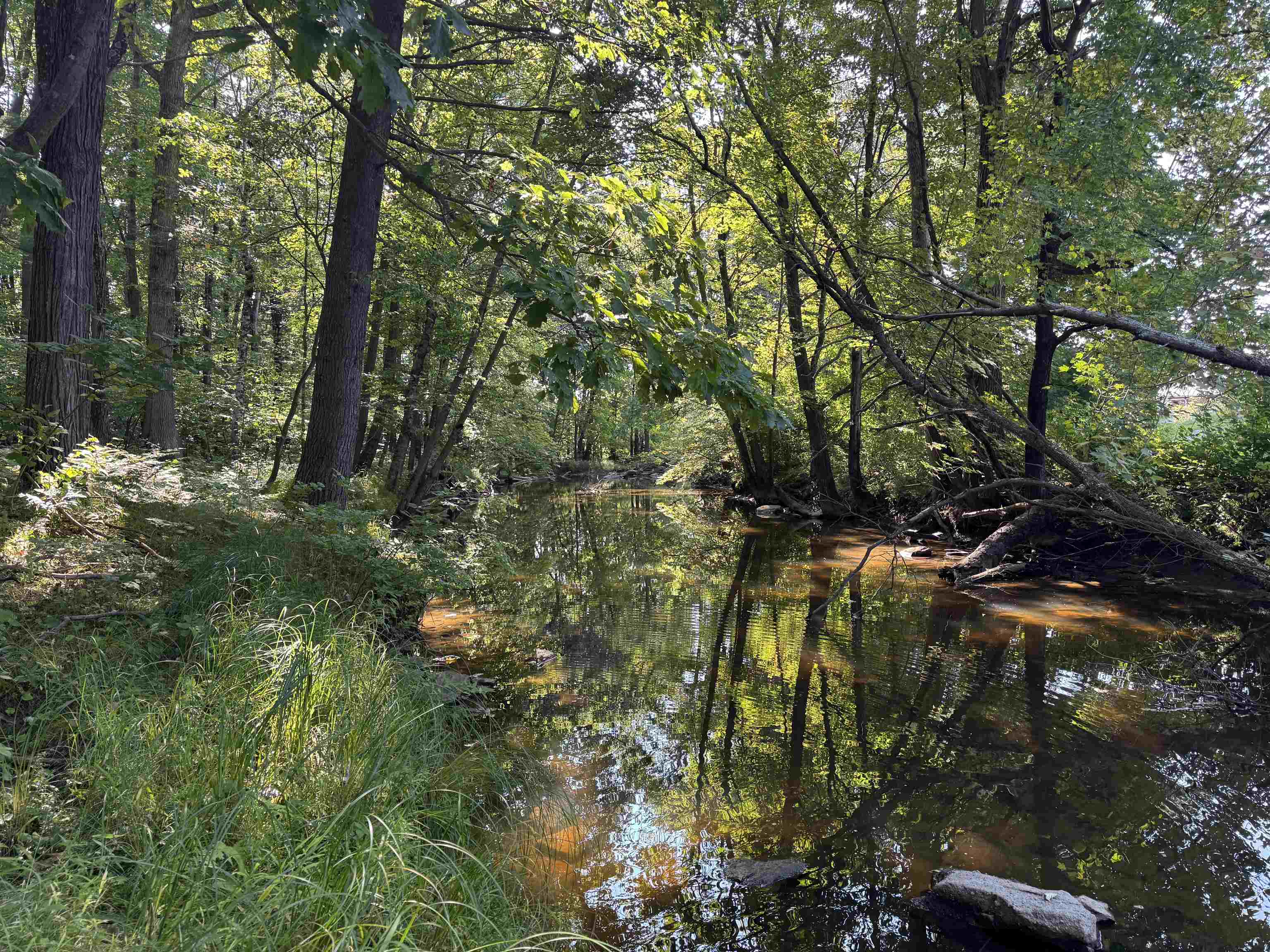 Lot 1 STATE HIGHWAY 13/34, Rudolph, Wisconsin 54475, ,Land,For Sale,Lot 1 STATE HIGHWAY 13/34,22504216