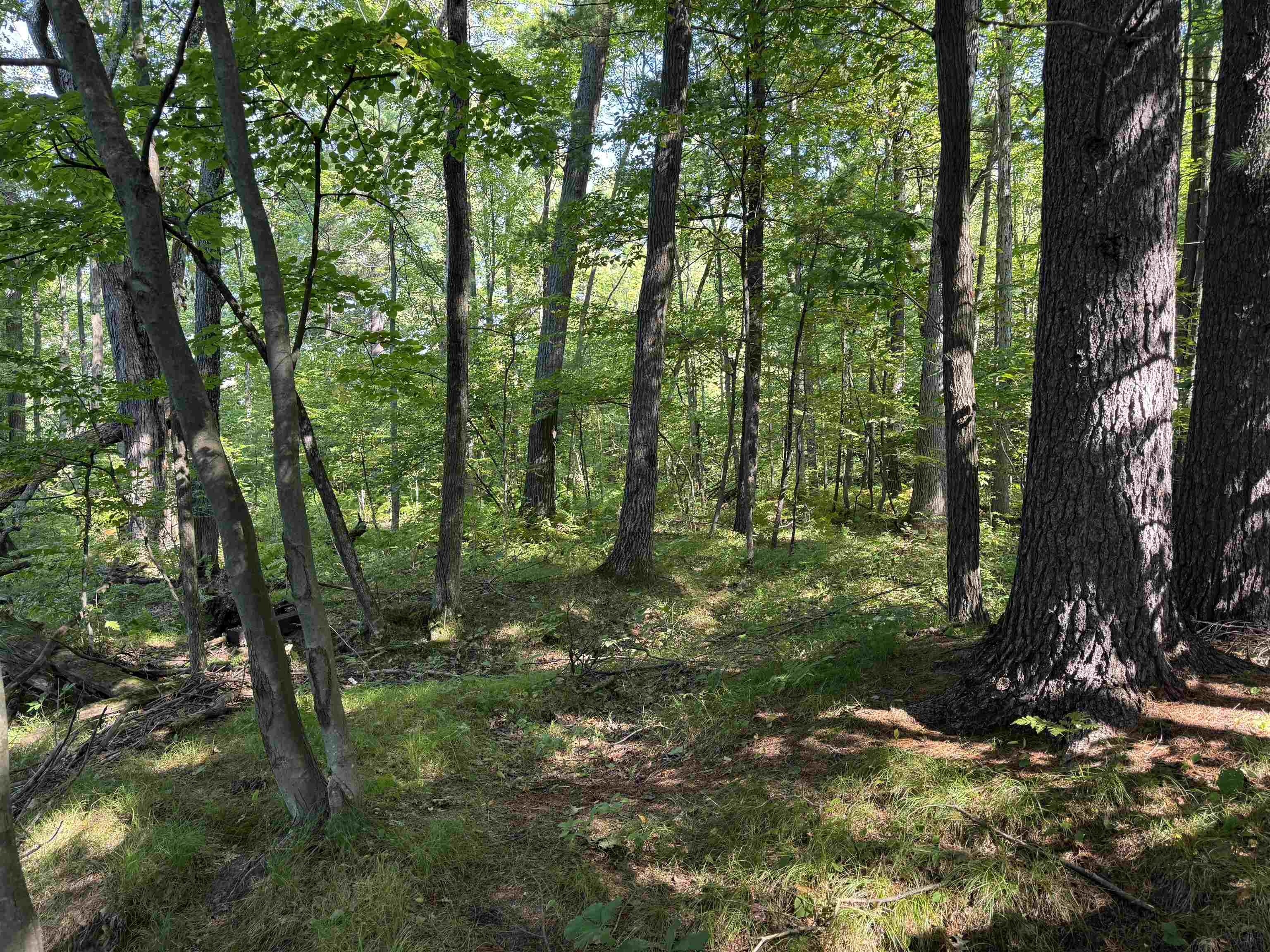 Lot 1 STATE HIGHWAY 13/34, Rudolph, Wisconsin 54475, ,Land,For Sale,Lot 1 STATE HIGHWAY 13/34,22504216