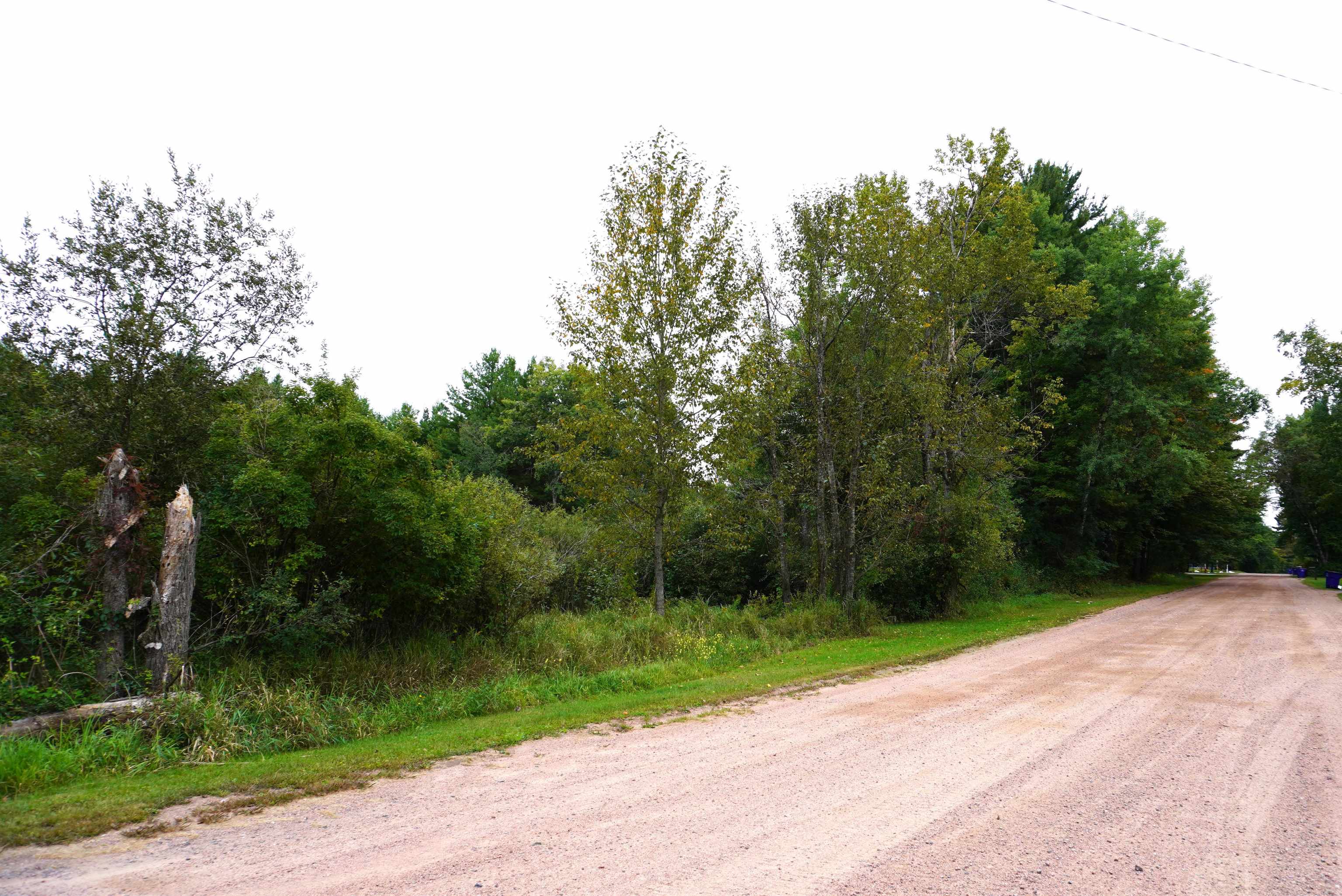 5 Lots MONROE STREET, Merrill, Wisconsin 54452, ,Land,For Sale,5 Lots MONROE STREET,22504313