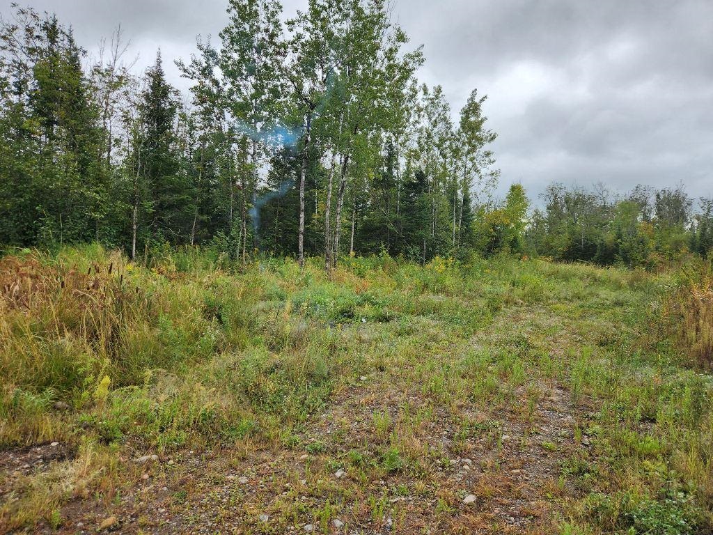 W12289 COUNTY ROAD J, Deerbrook, Wisconsin 54424, 3 Bedrooms Bedrooms, ,1 BathroomBathrooms,Residential,For Sale,W12289 COUNTY ROAD J,22504373