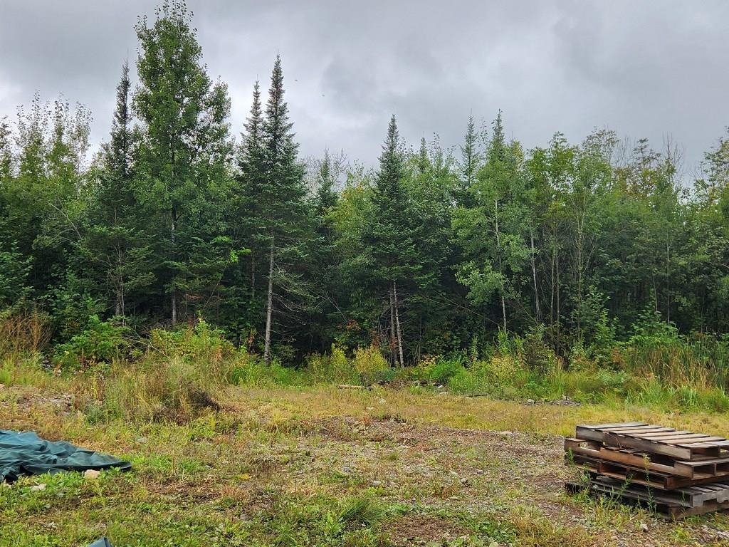 W12289 COUNTY ROAD J, Deerbrook, Wisconsin 54424, 3 Bedrooms Bedrooms, ,1 BathroomBathrooms,Residential,For Sale,W12289 COUNTY ROAD J,22504373