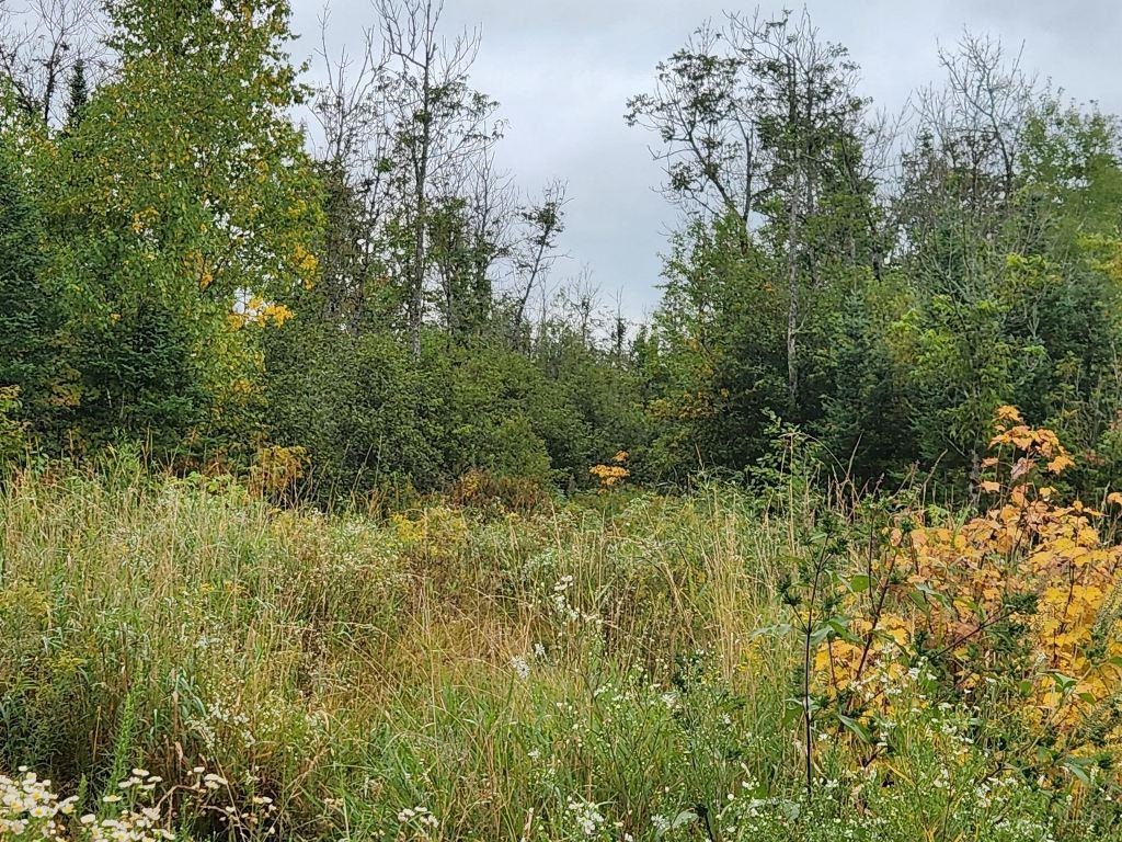 W12289 COUNTY ROAD J, Deerbrook, Wisconsin 54424, 3 Bedrooms Bedrooms, ,1 BathroomBathrooms,Residential,For Sale,W12289 COUNTY ROAD J,22504373