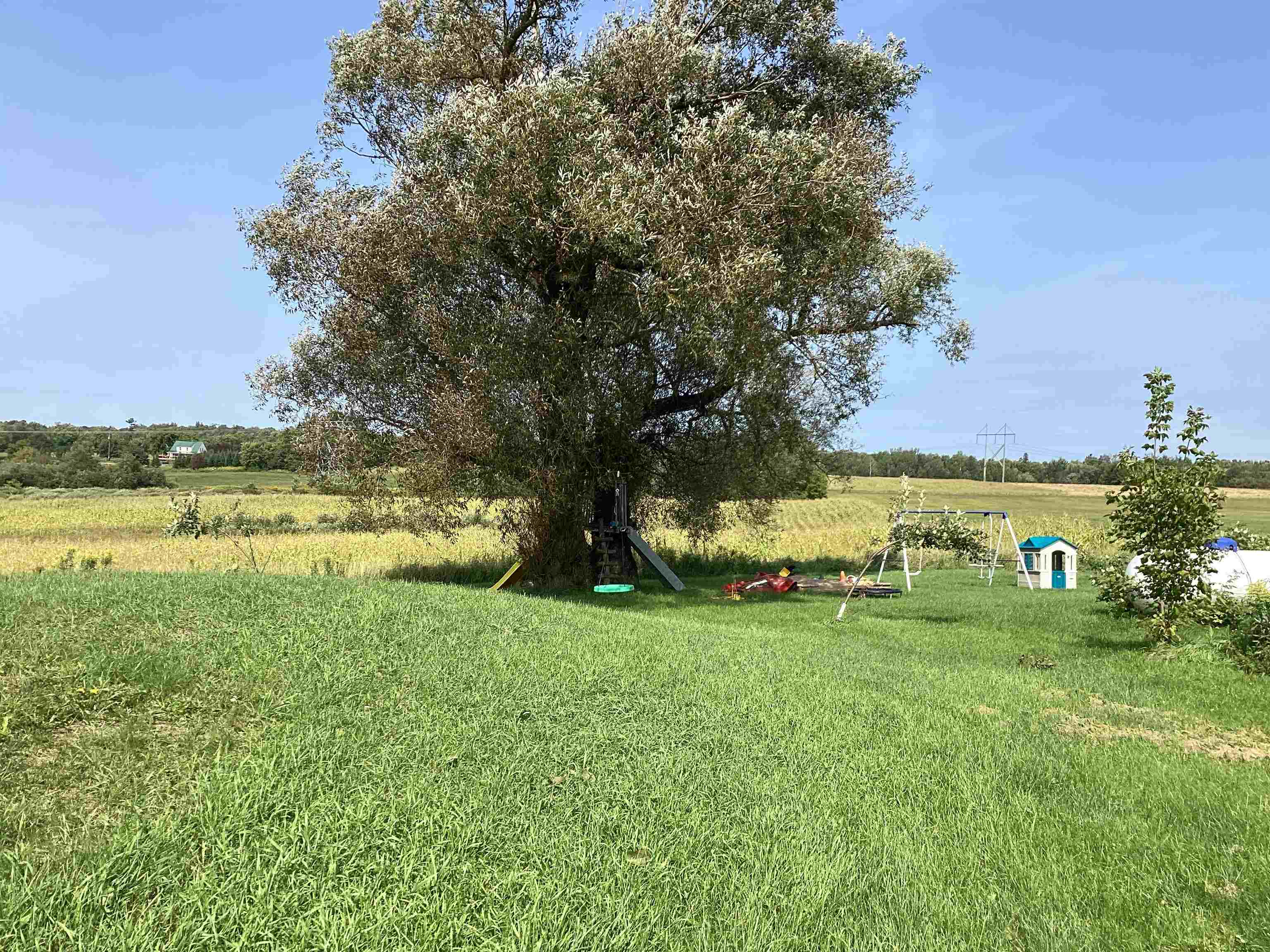 236934 EAU CLAIRE RIVER ROAD, Aniwa, Wisconsin 54408, 5 Bedrooms Bedrooms, ,2 BathroomsBathrooms,Residential,For Sale,236934 EAU CLAIRE RIVER ROAD,22504513