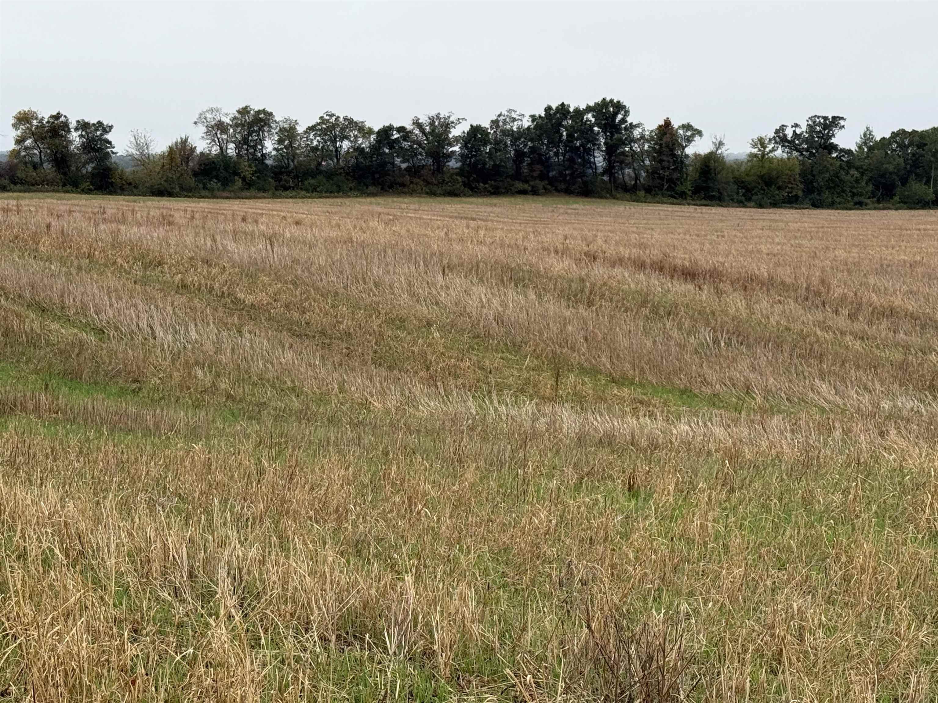 00 COUNTY ROAD V, Amherst, Wisconsin 54406, ,Commercial/industrial,For Sale,00 COUNTY ROAD V,22504555