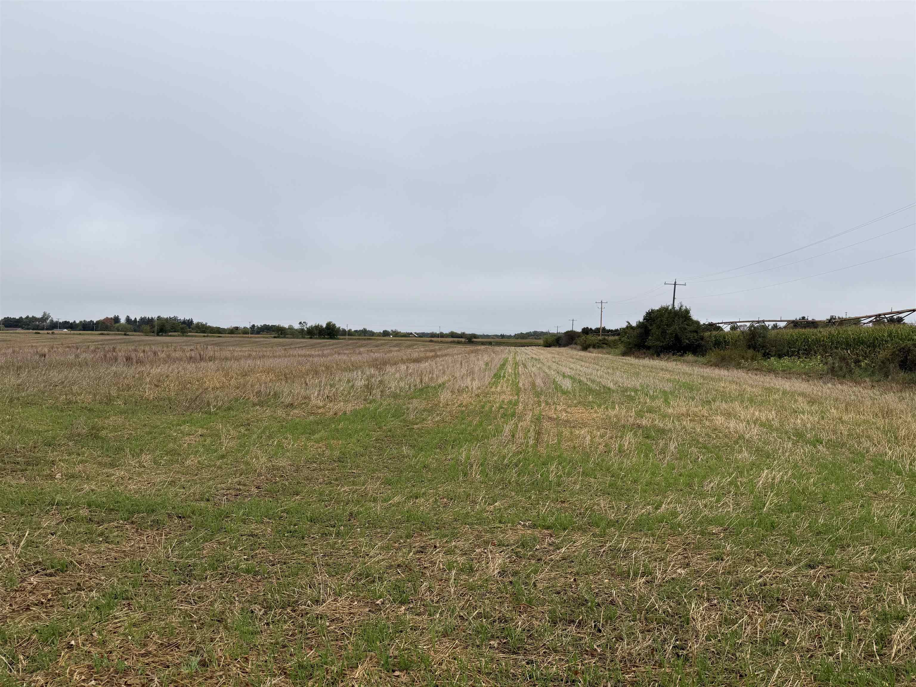 00 COUNTY ROAD V, Amherst, Wisconsin 54406, ,Commercial/industrial,For Sale,00 COUNTY ROAD V,22504555