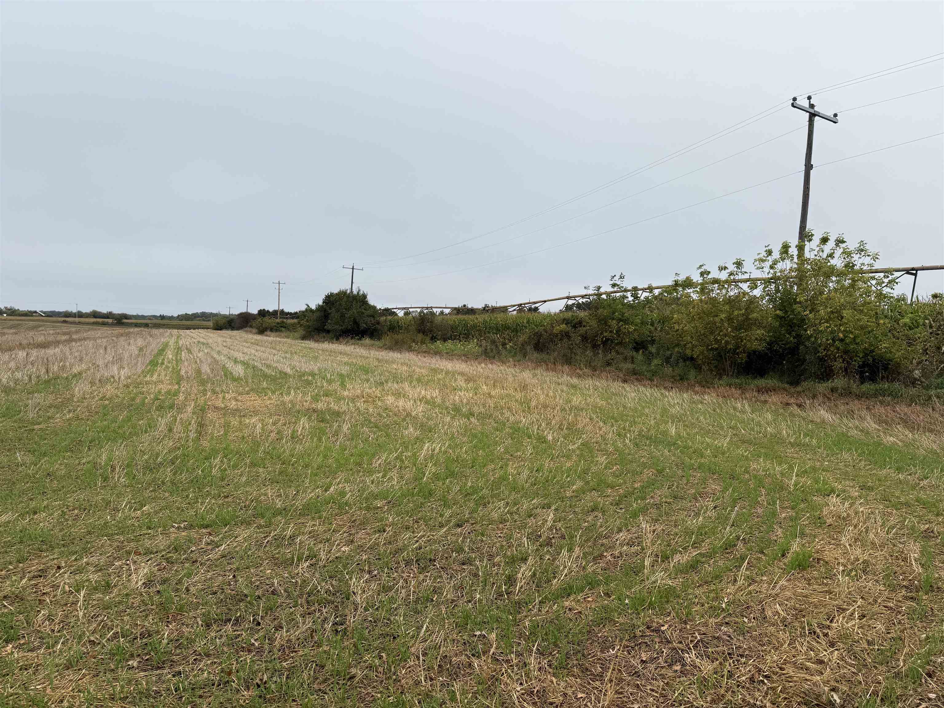 00 COUNTY ROAD V, Amherst, Wisconsin 54406, ,Commercial/industrial,For Sale,00 COUNTY ROAD V,22504555