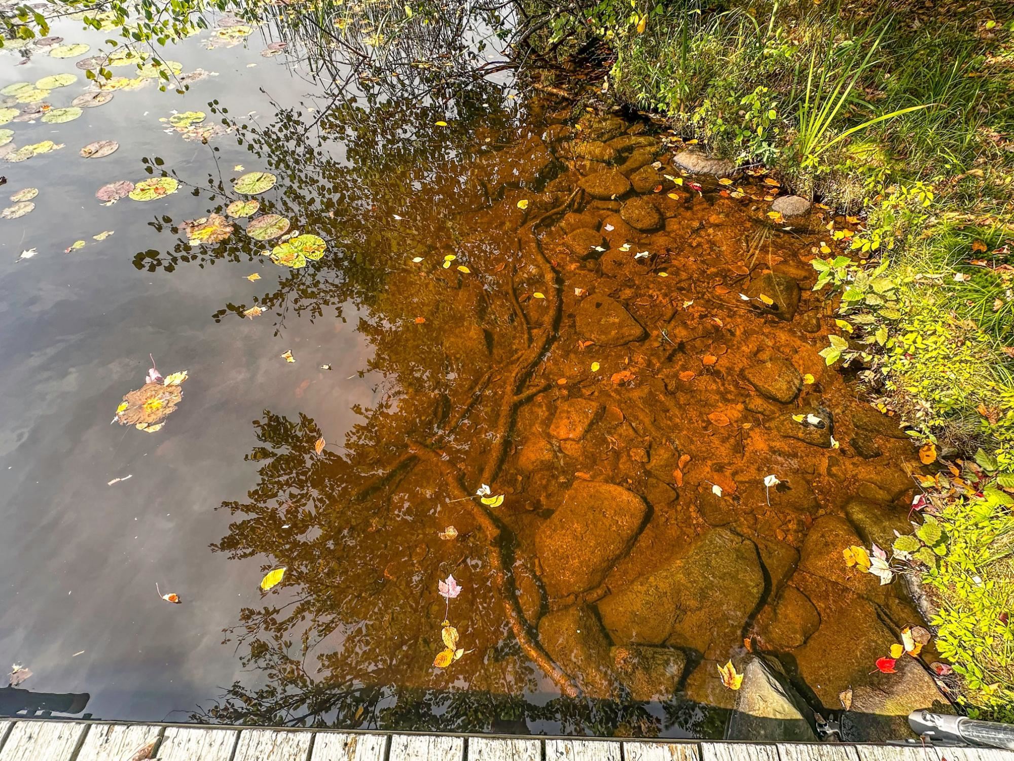 W8155 DEMARS BRIDGE LANE, Park Falls, Wisconsin 54552, ,Land,For Sale,W8155 DEMARS BRIDGE LANE,22504562