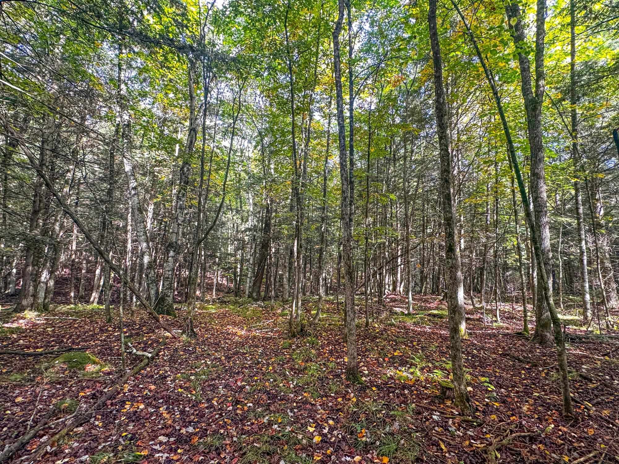 W8155 DEMARS BRIDGE LANE, Park Falls, Wisconsin 54552, ,Land,For Sale,W8155 DEMARS BRIDGE LANE,22504562