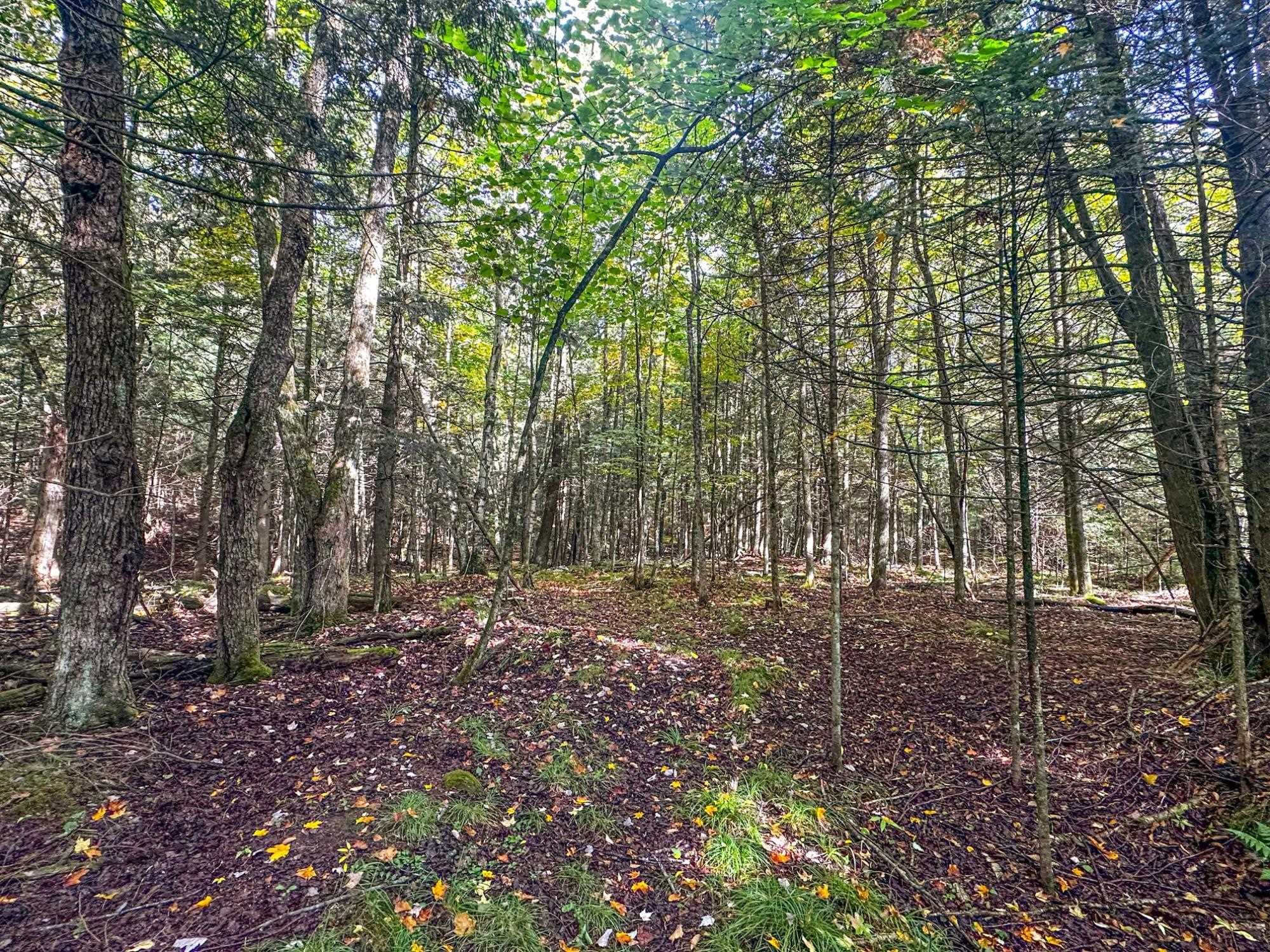 W8155 DEMARS BRIDGE LANE, Park Falls, Wisconsin 54552, ,Land,For Sale,W8155 DEMARS BRIDGE LANE,22504562