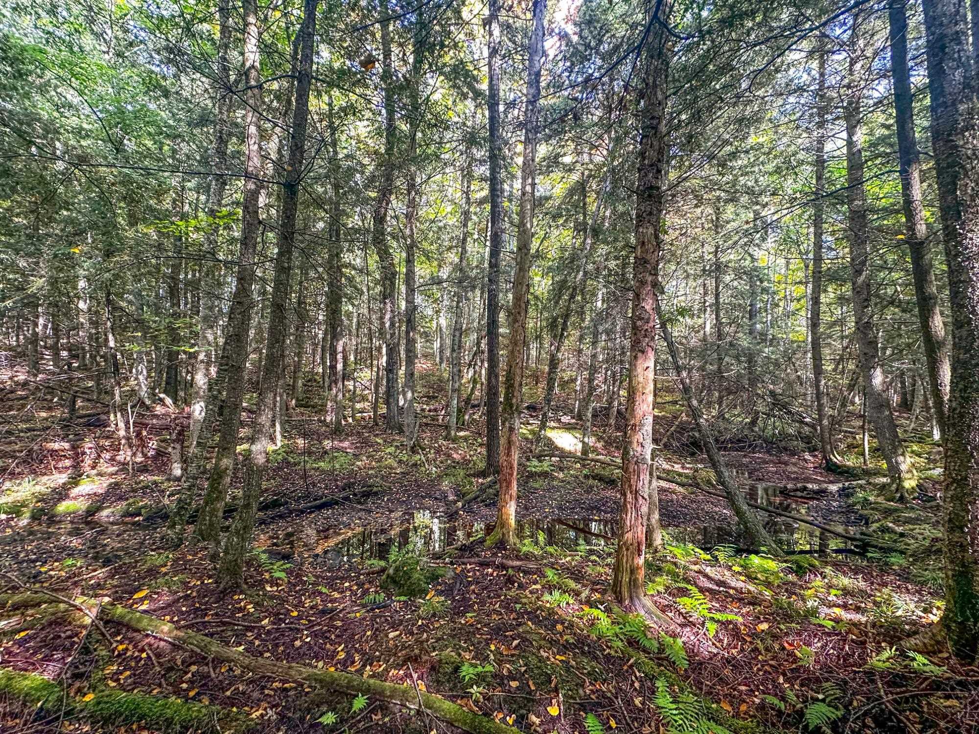 W8155 DEMARS BRIDGE LANE, Park Falls, Wisconsin 54552, ,Land,For Sale,W8155 DEMARS BRIDGE LANE,22504562