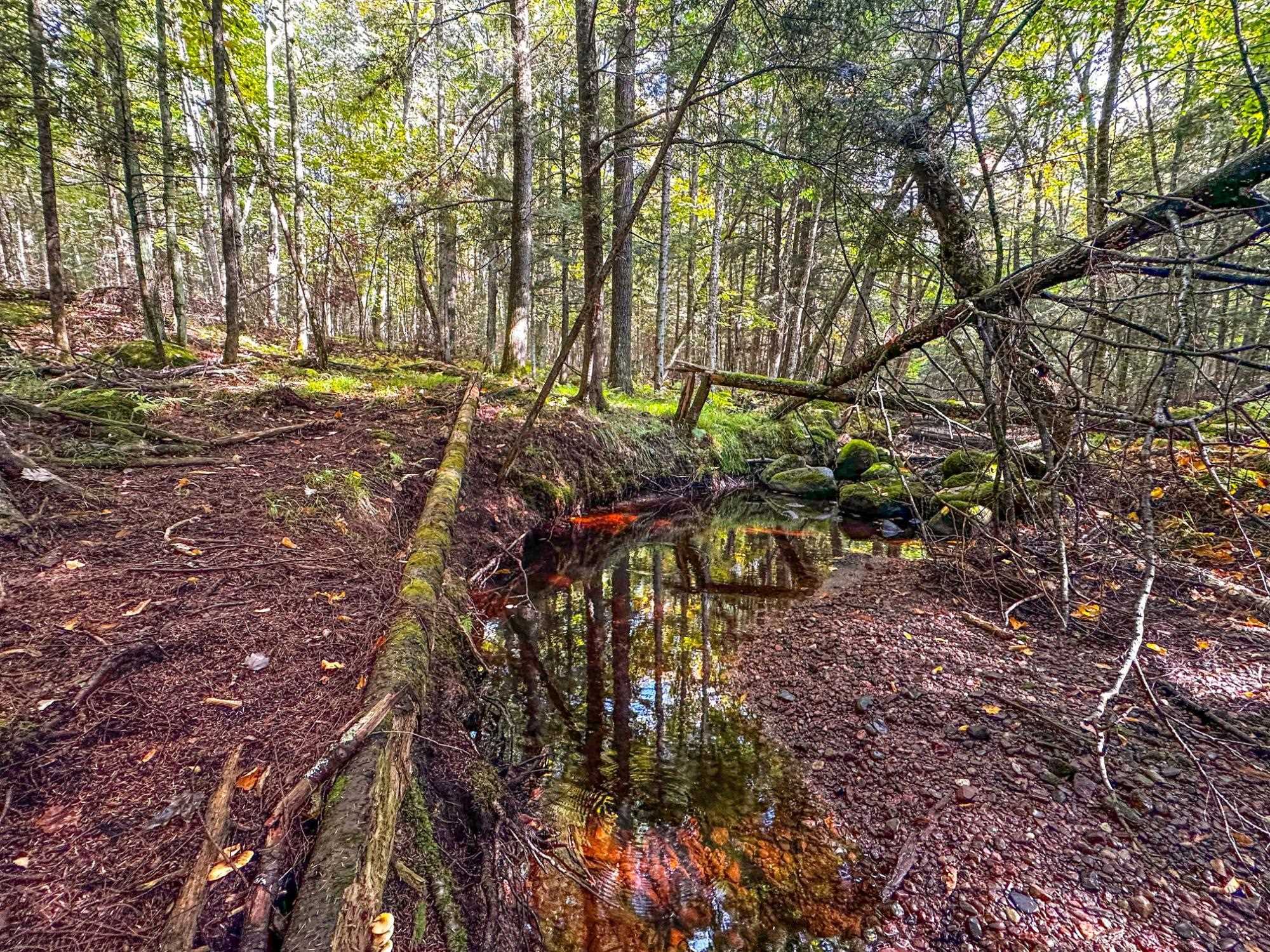 W8155 DEMARS BRIDGE LANE, Park Falls, Wisconsin 54552, ,Land,For Sale,W8155 DEMARS BRIDGE LANE,22504562