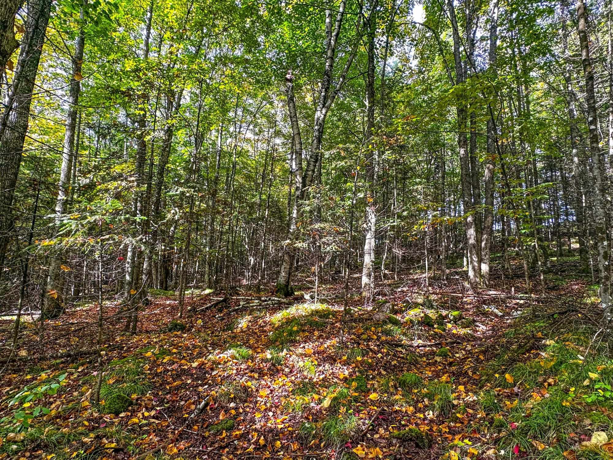 W8155 DEMARS BRIDGE LANE, Park Falls, Wisconsin 54552, ,Land,For Sale,W8155 DEMARS BRIDGE LANE,22504562